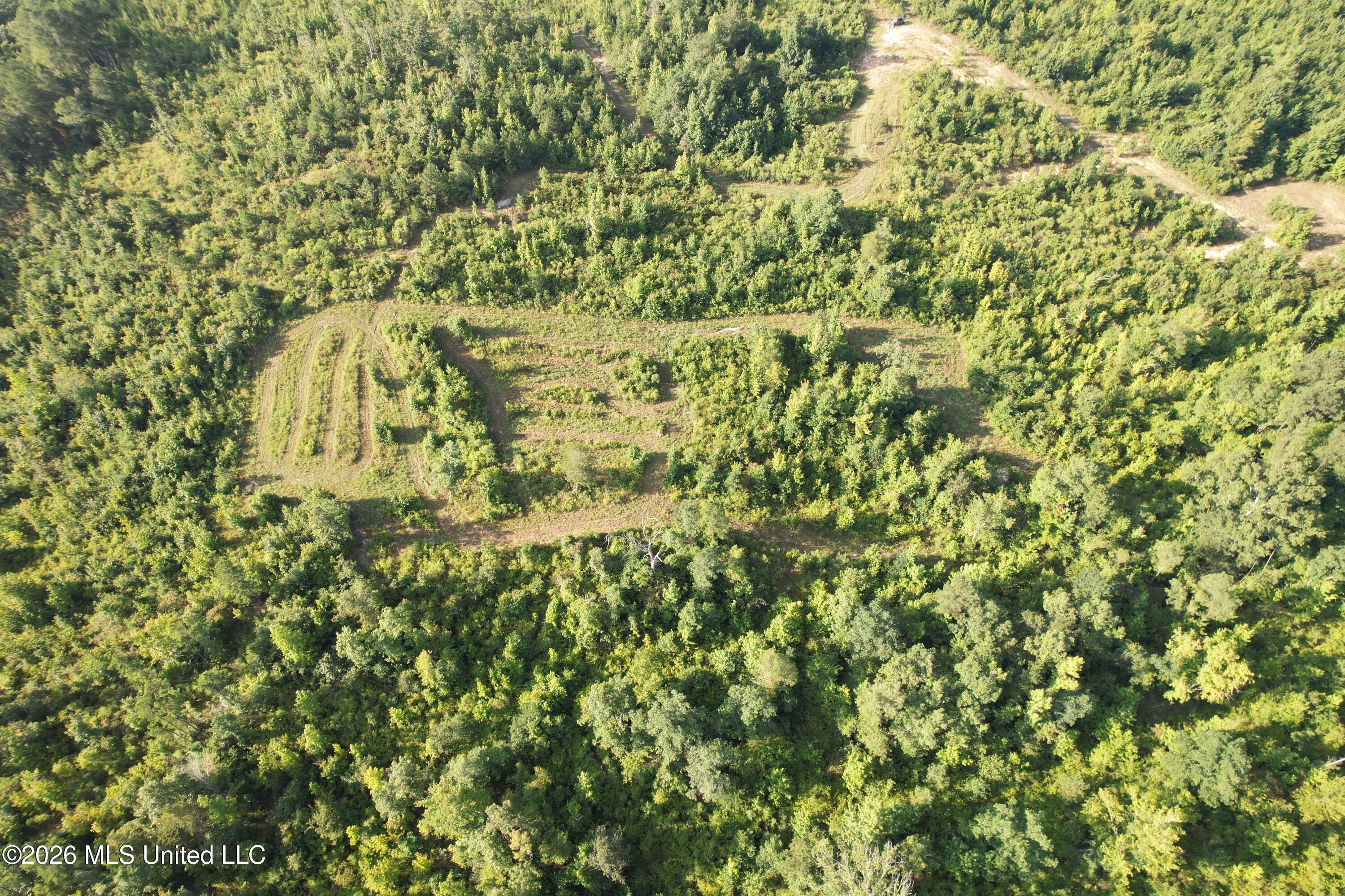 Co Rd 4102 Property Photo 3
