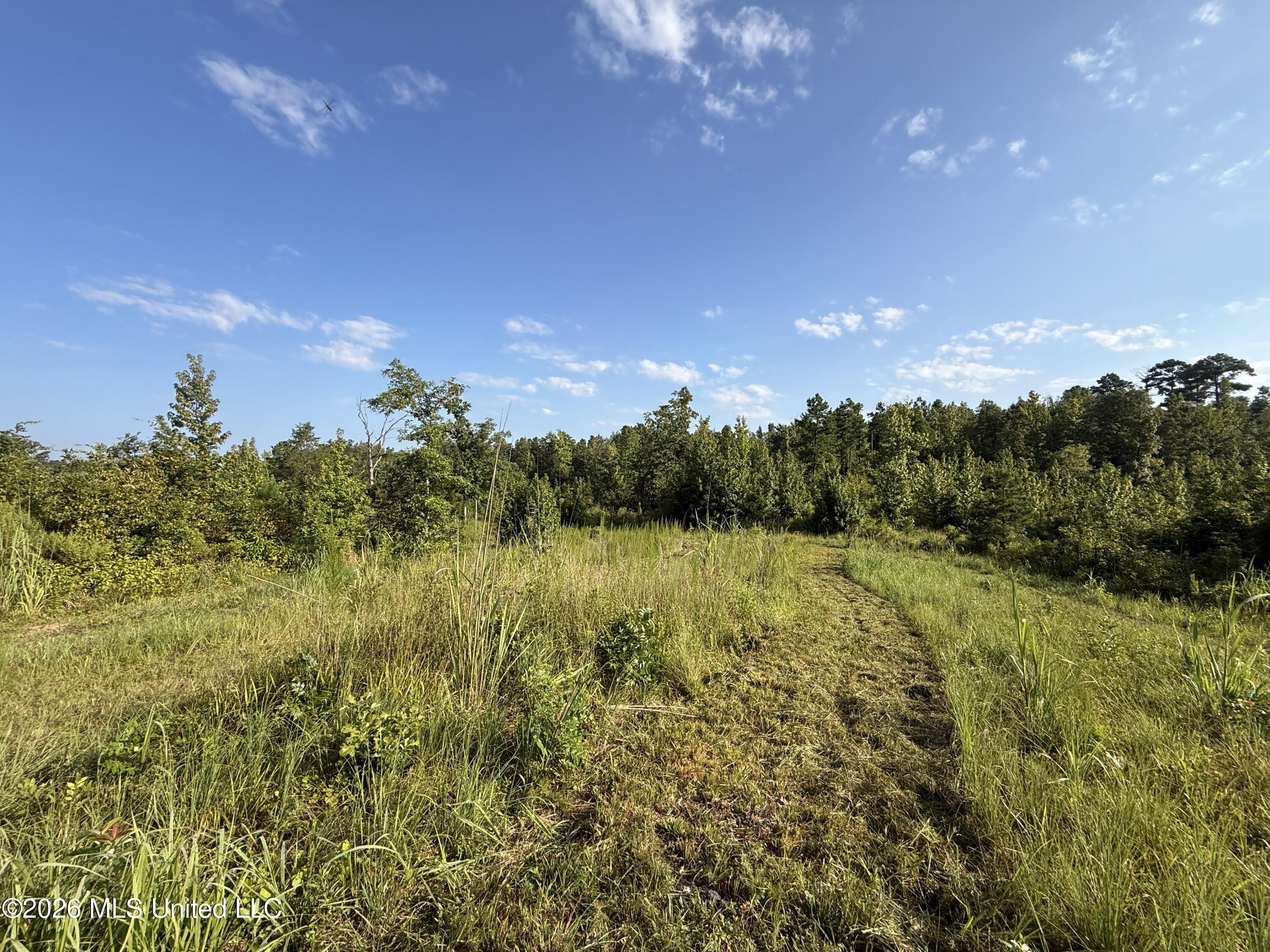 Co Rd 4102 Property Photo 4