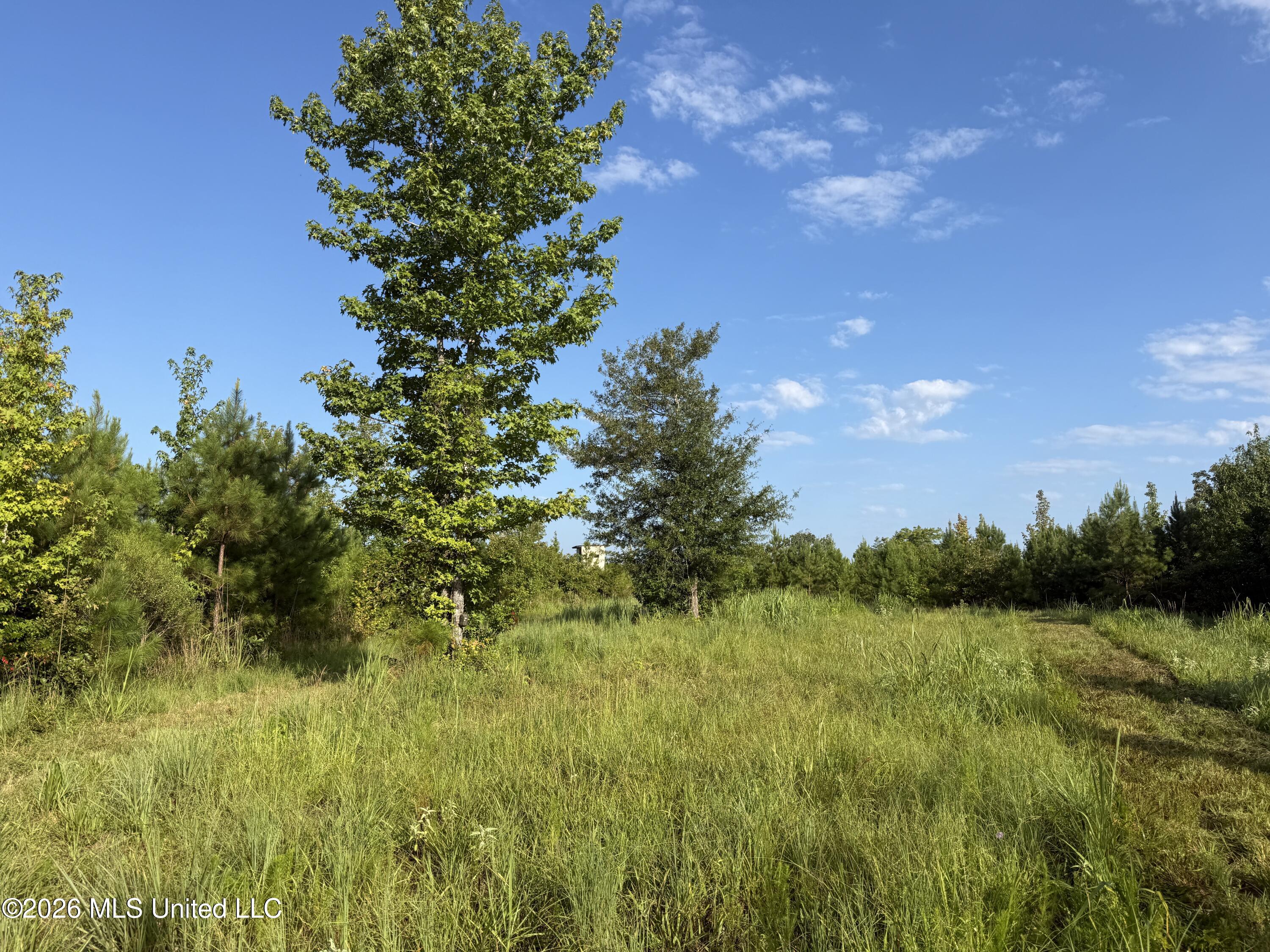 Co Rd 4102 Property Photo 6
