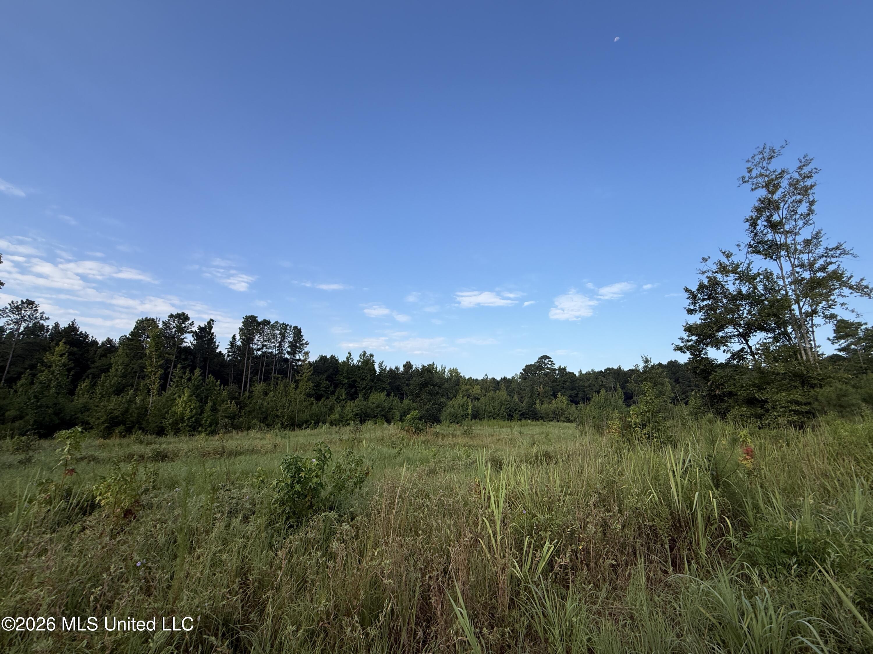 Co Rd 4102 Property Photo 8