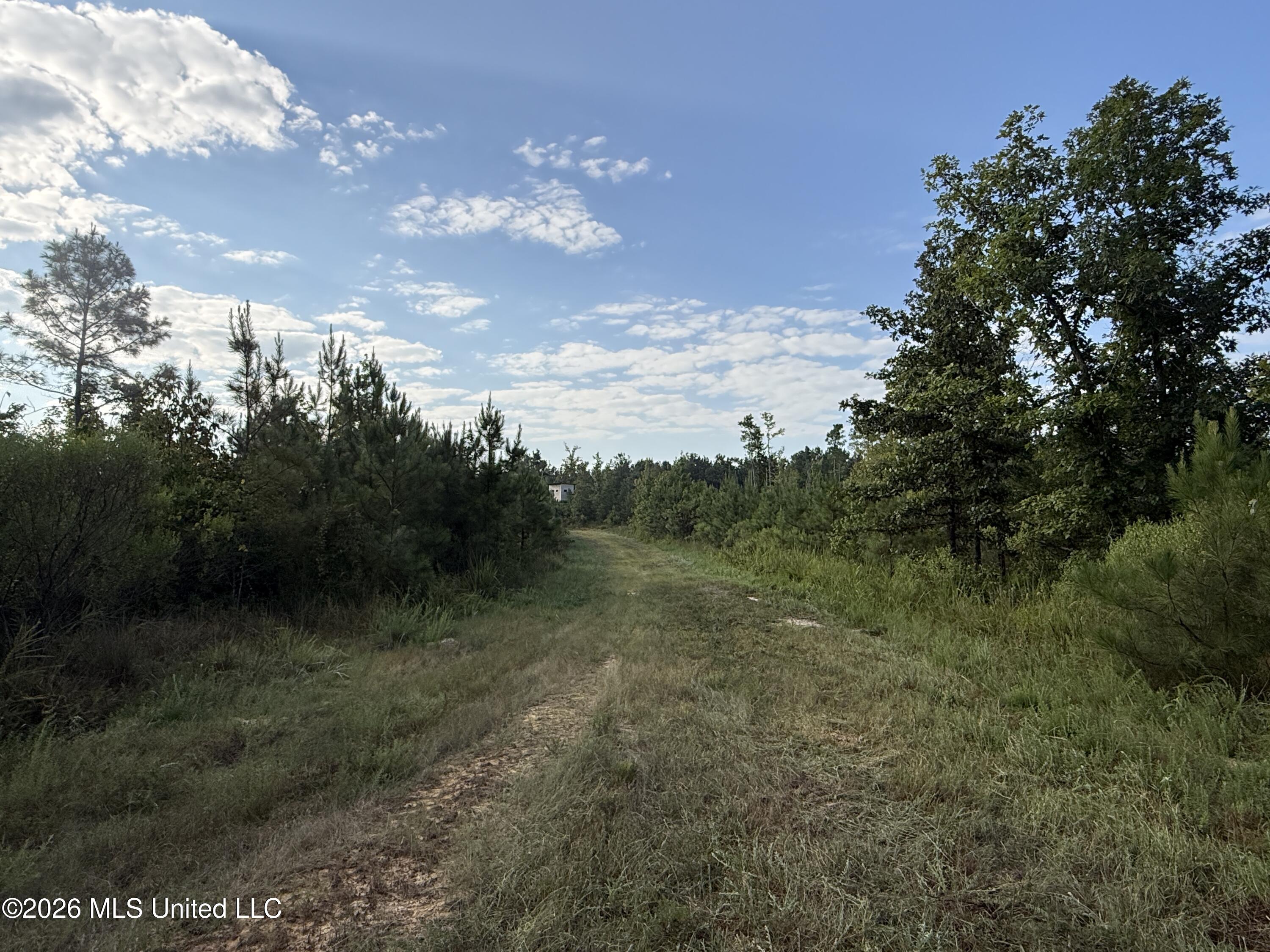 Co Rd 4102 Property Photo 11
