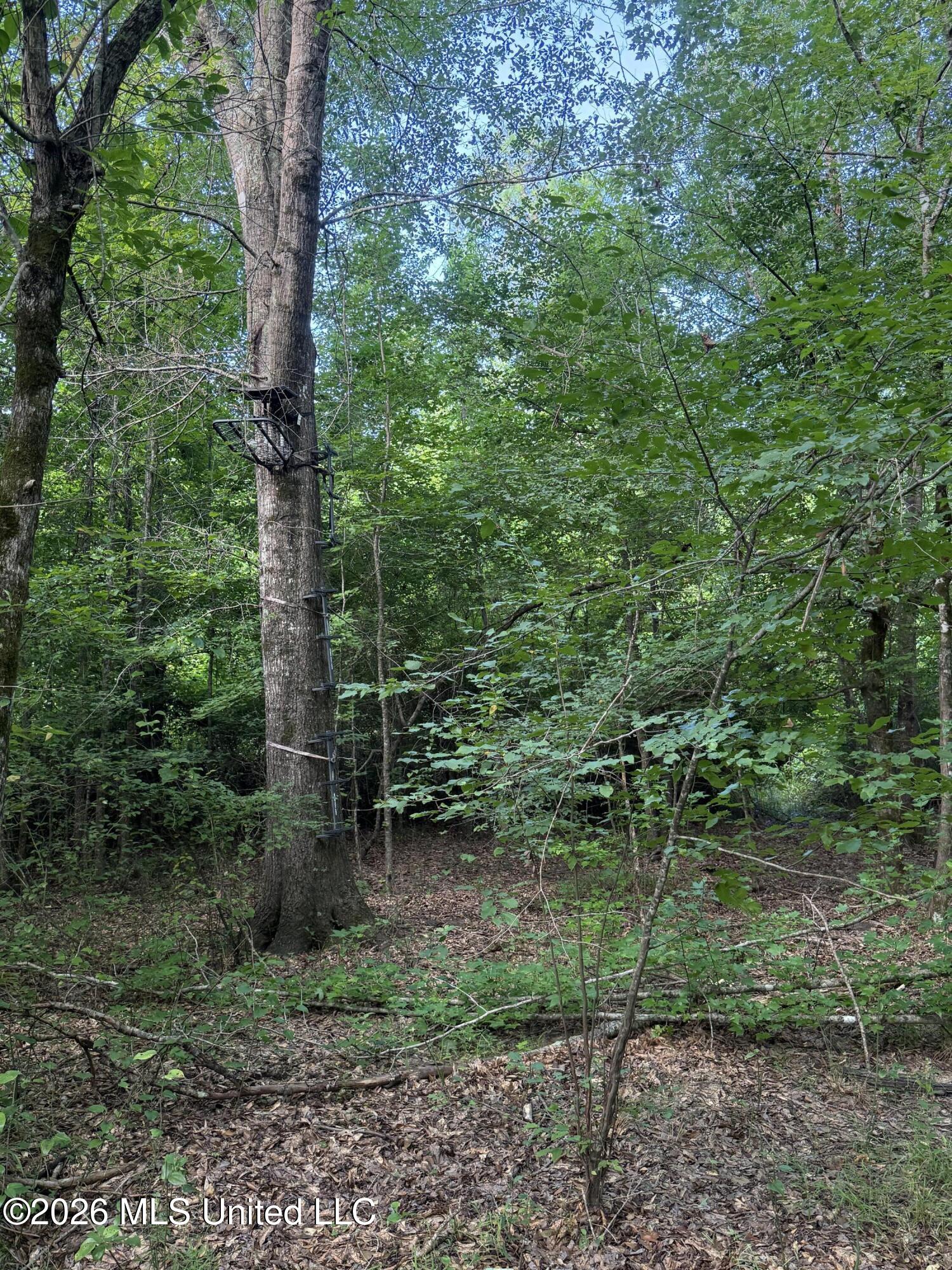 Co Rd 4102 Property Photo 13