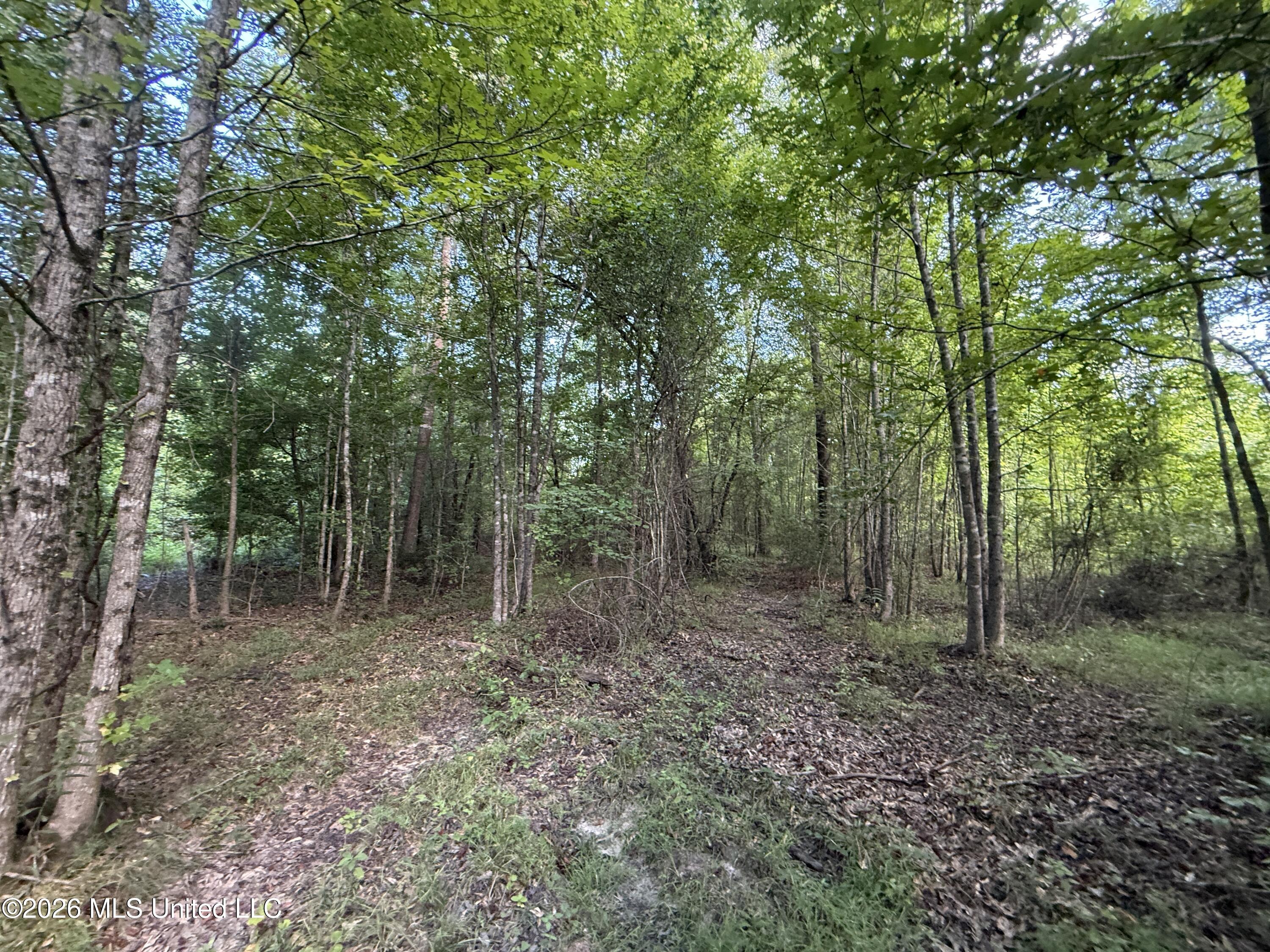 Co Rd 4102 Property Photo 14