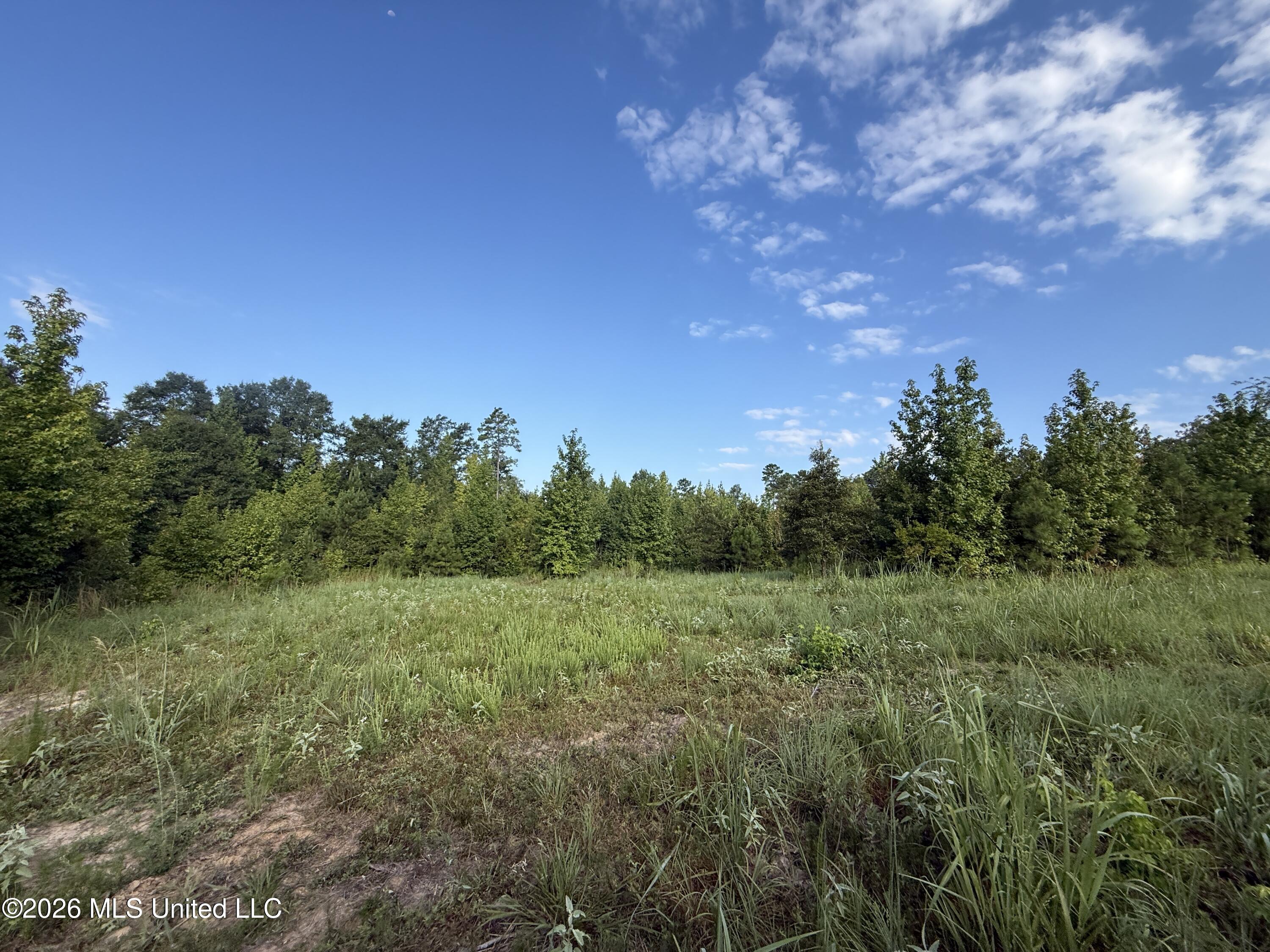 Co Rd 4102 Property Photo 15
