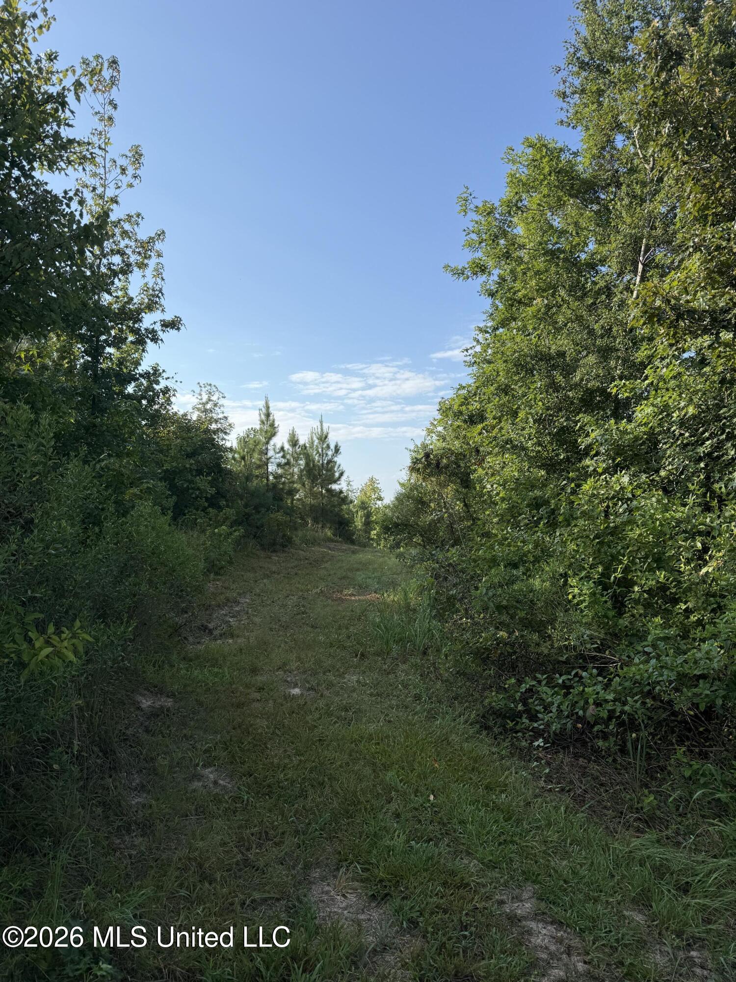Co Rd 4102 Property Photo 17