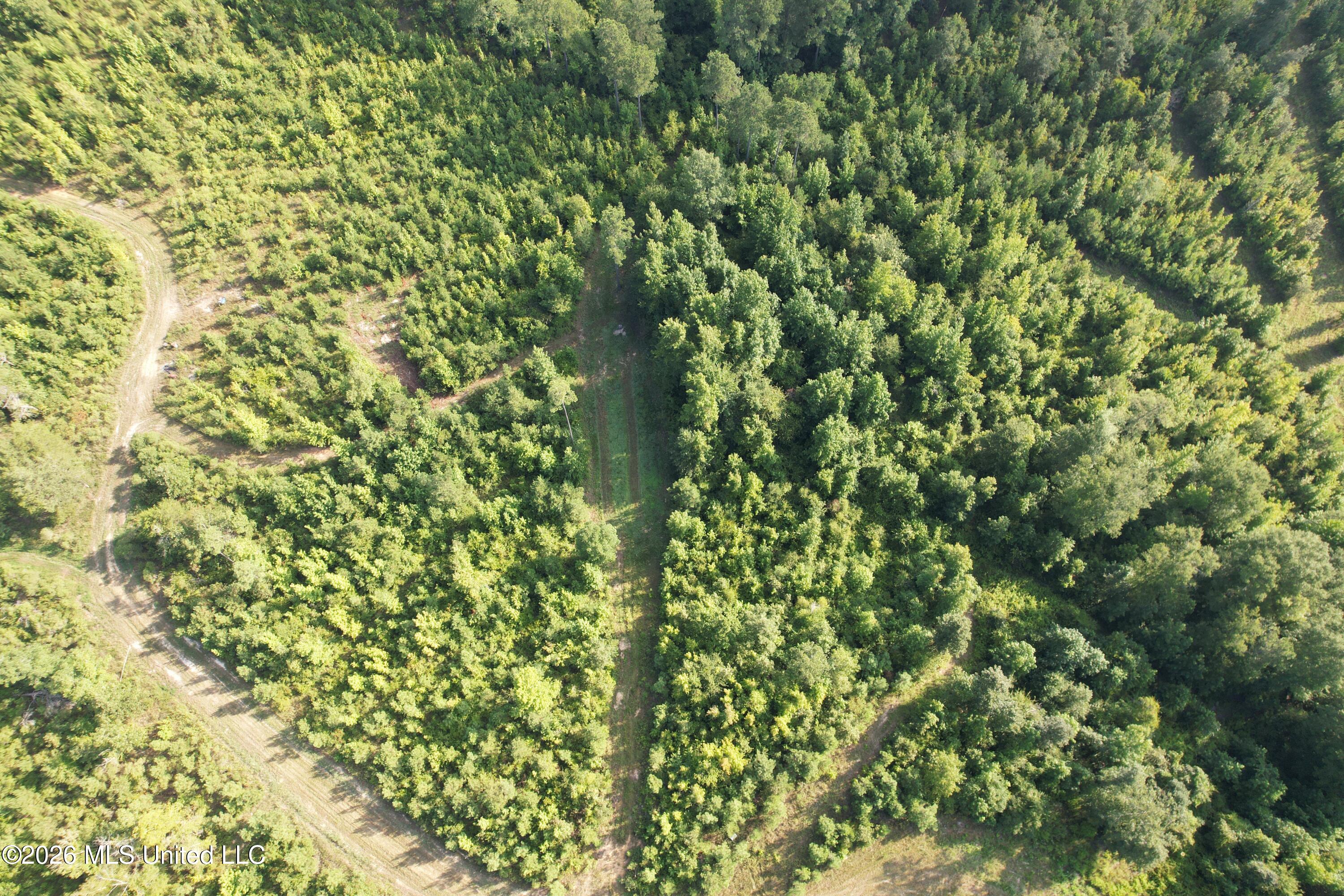 Co Rd 4102 Property Photo 21