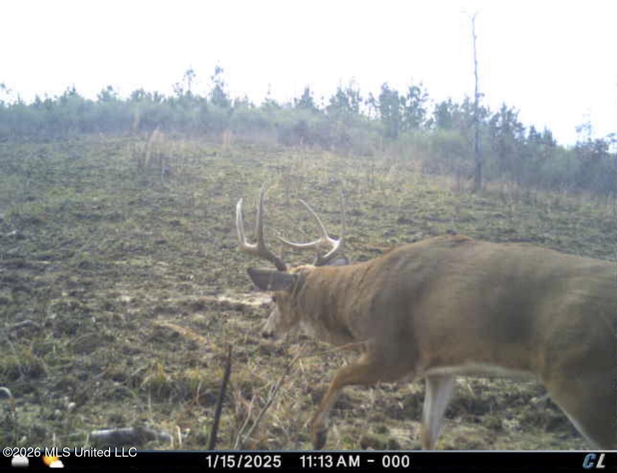 Co Rd 4102 Property Photo 27