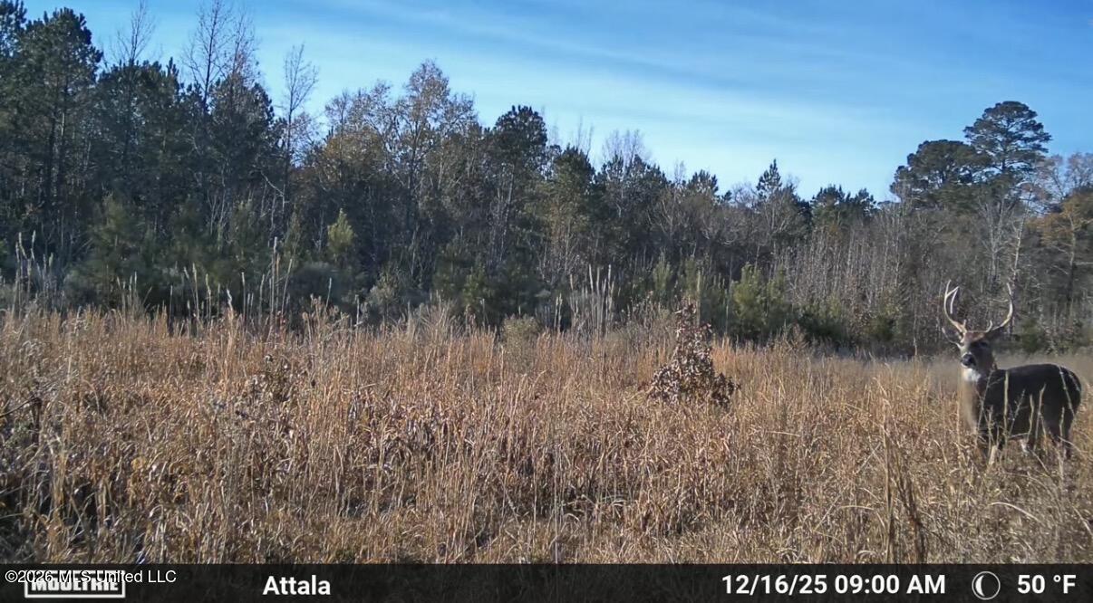 Co Rd 4102 Property Photo 28