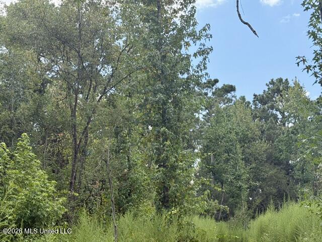71 Fulgham Road Property Photo 3