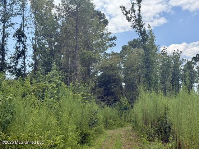 71 Fulgham Road Property Photo 5