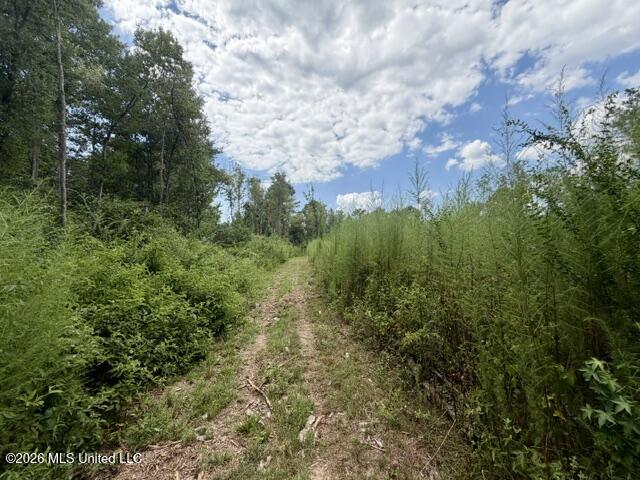 71 Fulgham Road Property Photo 6