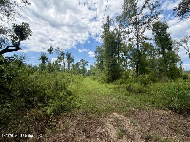 71 Fulgham Road Property Photo 8