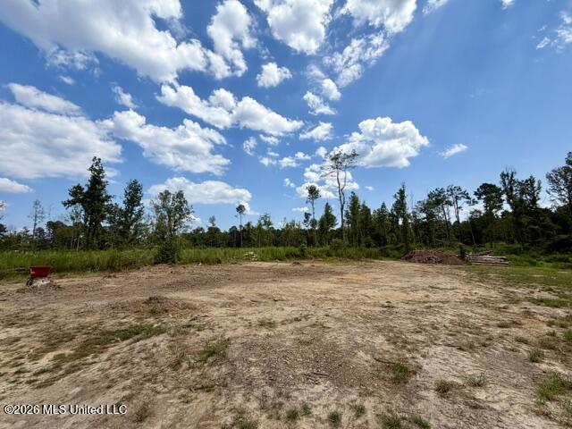 71 Fulgham Road Property Photo 10