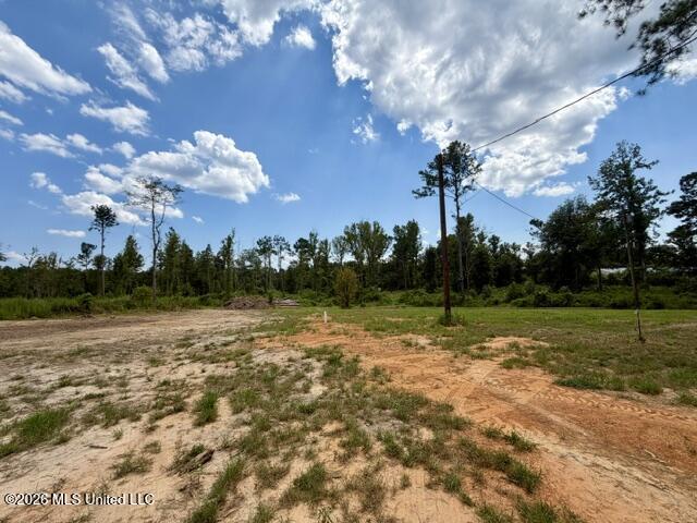 71 Fulgham Road Property Photo 11