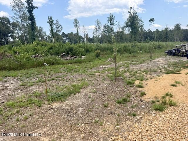 71 Fulgham Road Property Photo 12