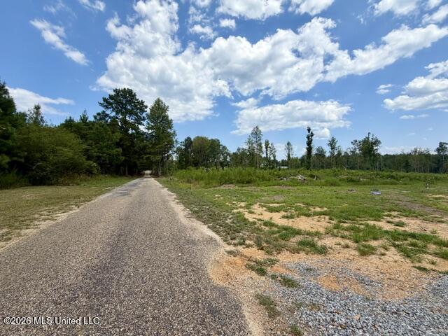 71 Fulgham Road Property Photo 13