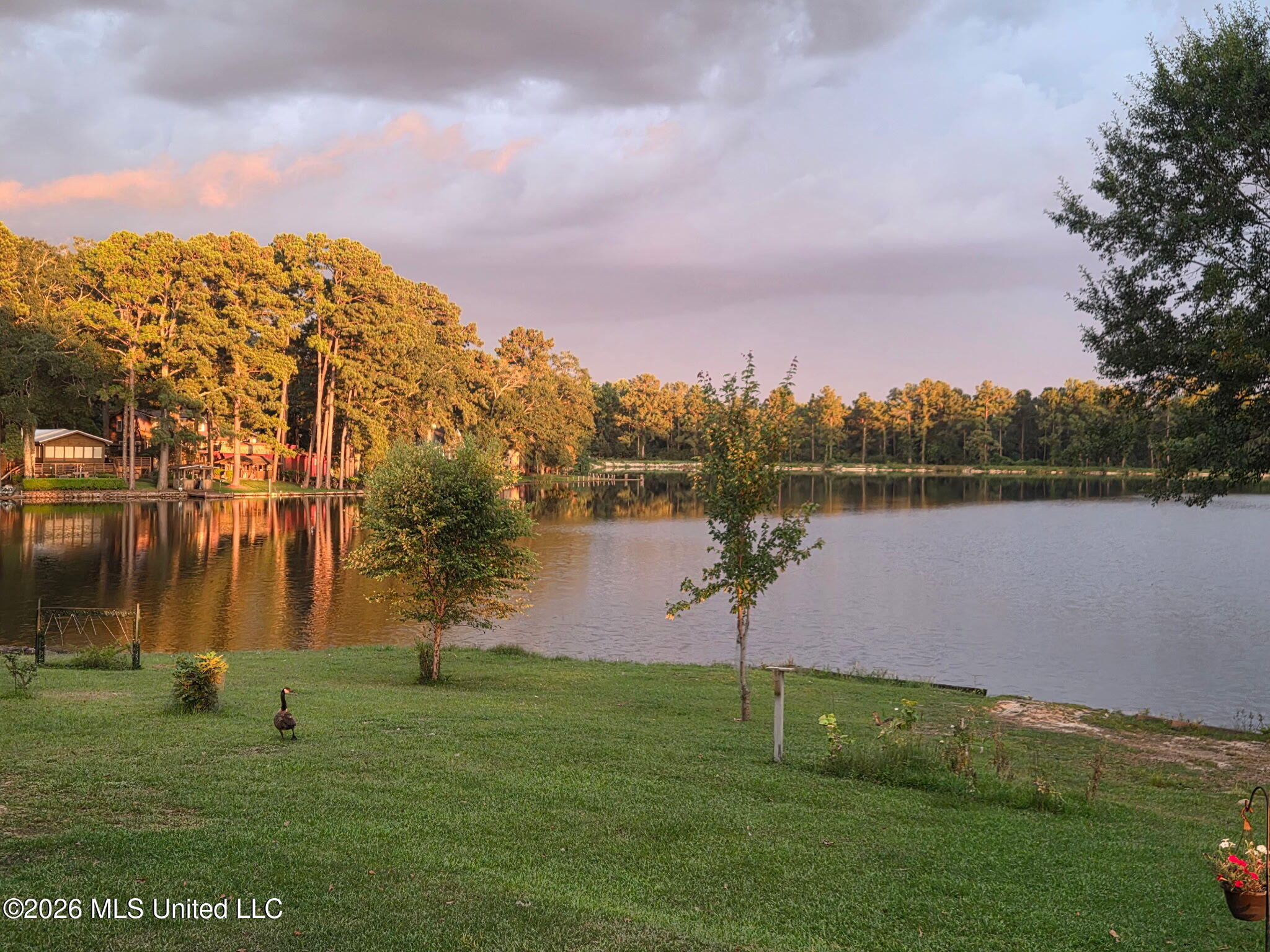 33 Scenic Point Property Photo 12