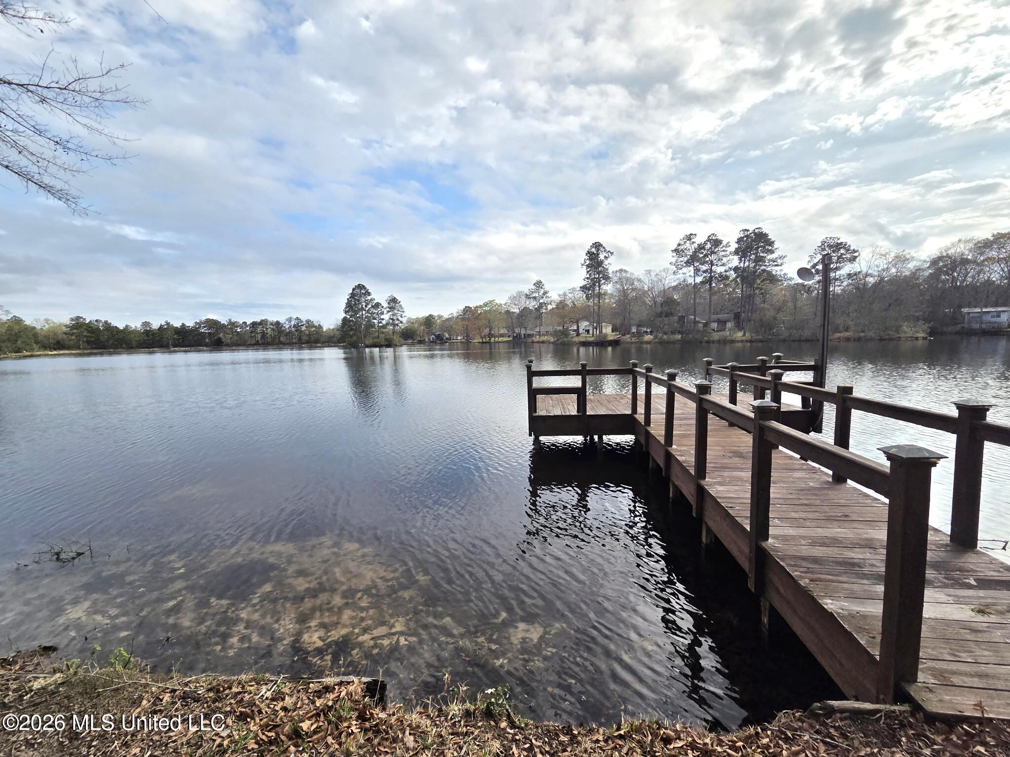 33 Scenic Point Property Photo 13