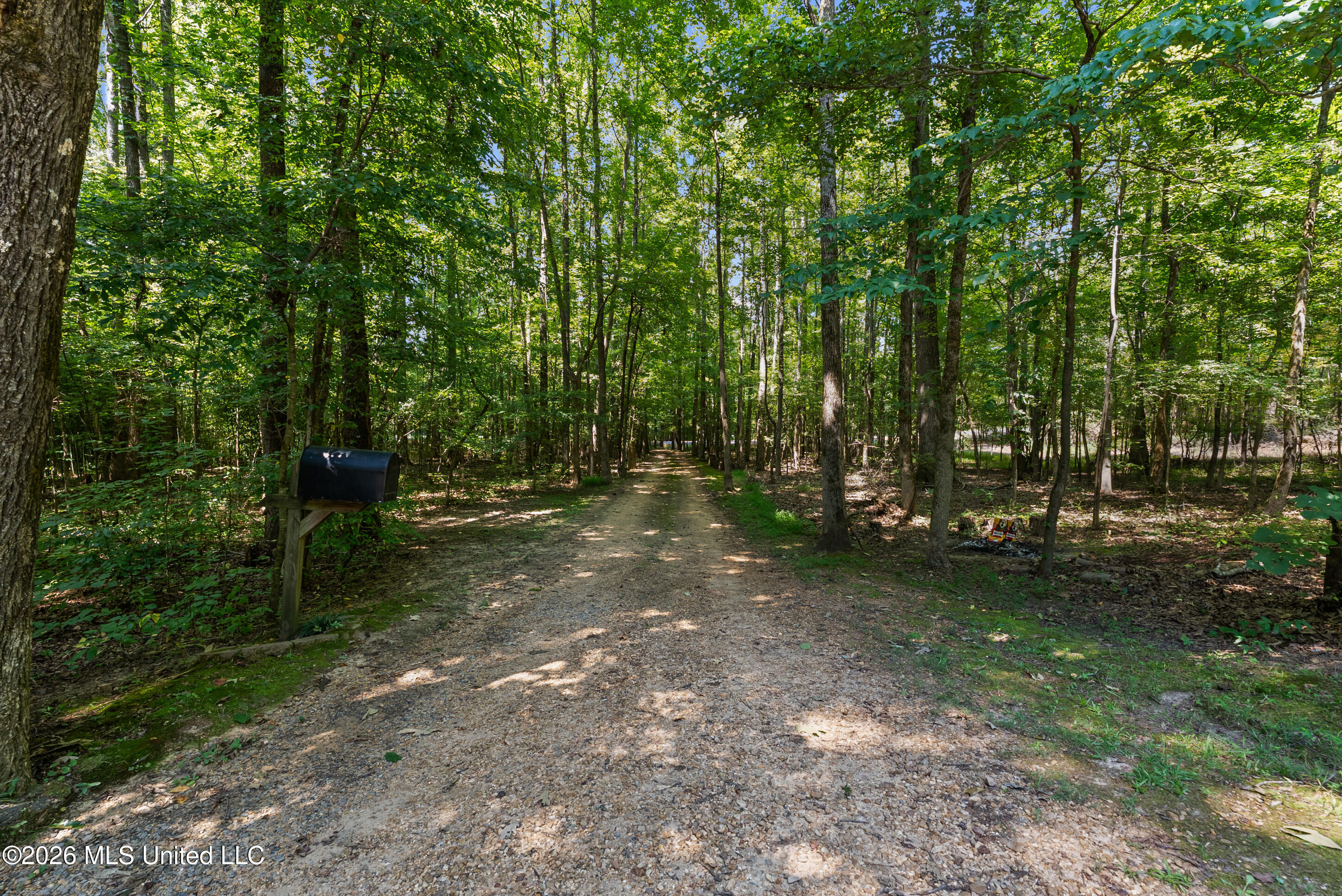 2500 Mays Road Property Photo 3