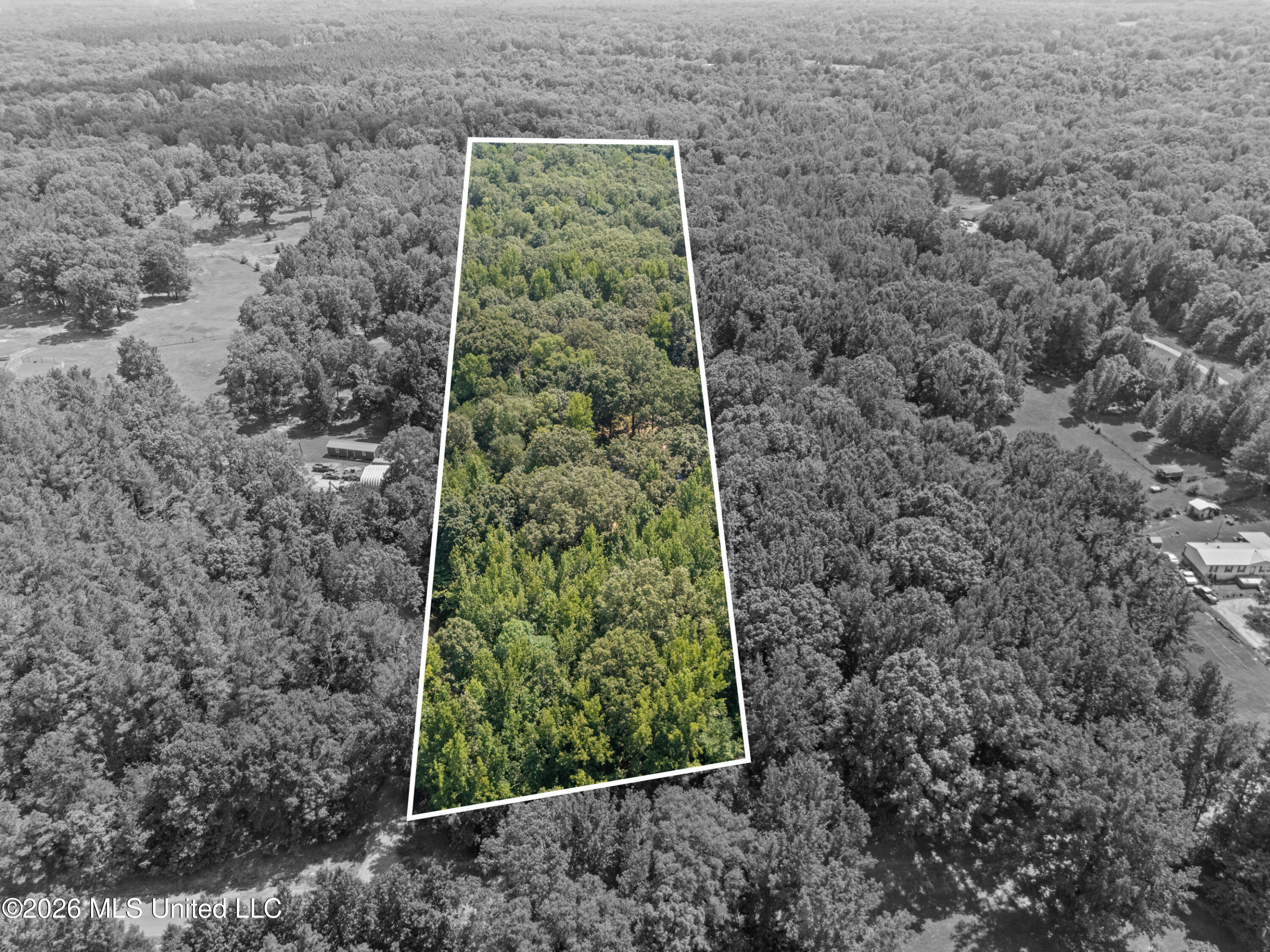 2500 Mays Road Property Photo 4