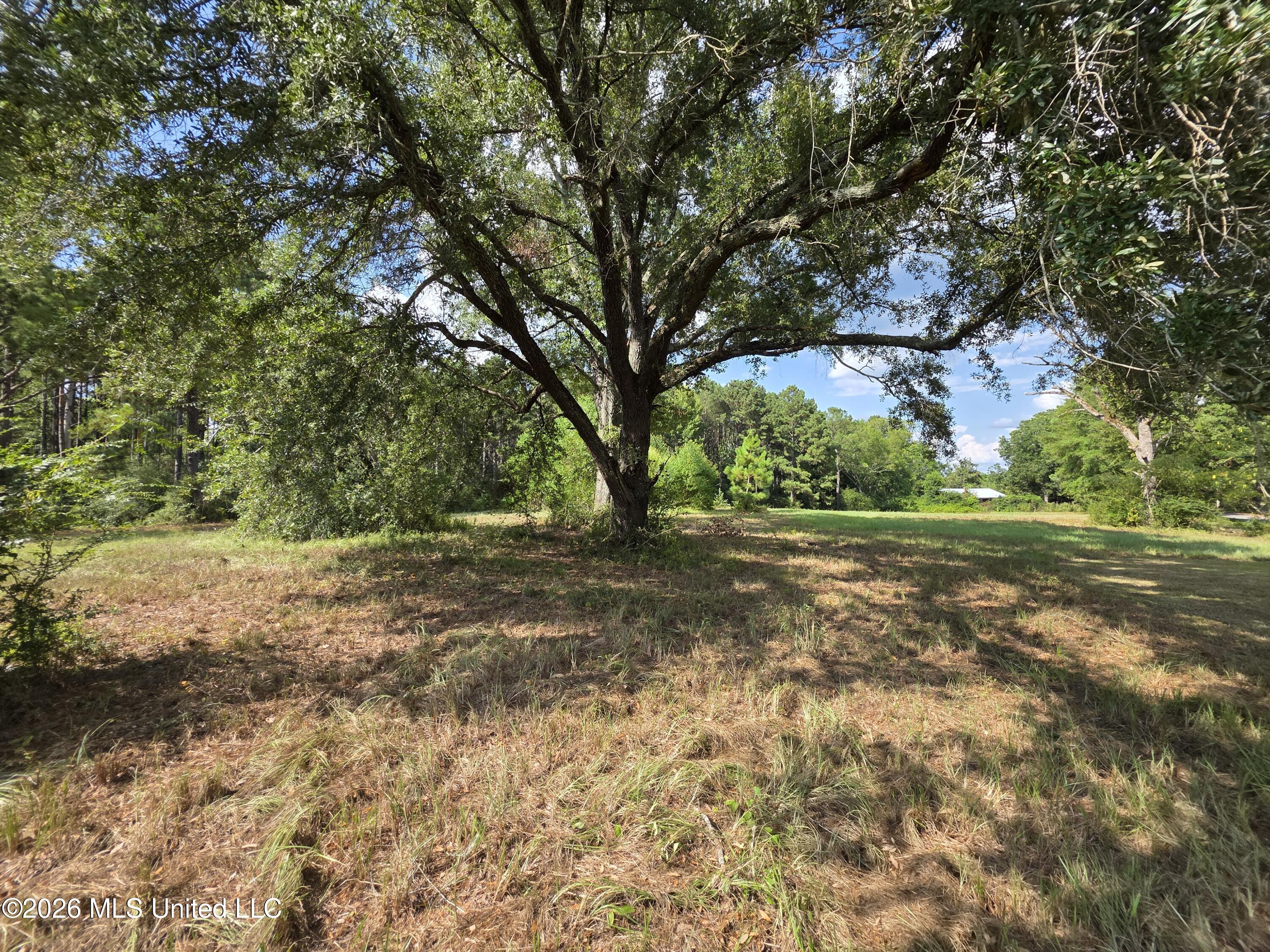 325 Double Ponds Road Property Photo 3