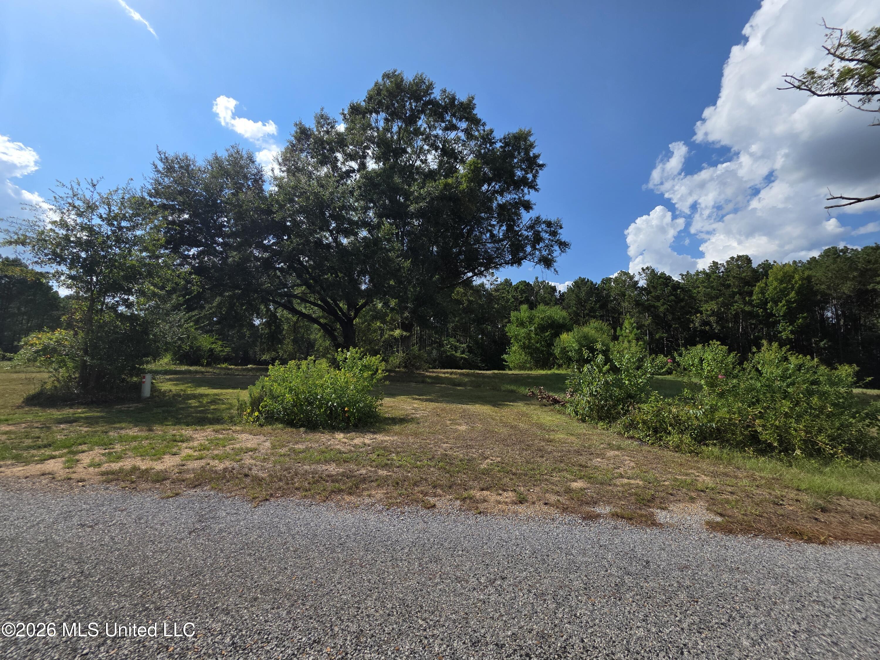 325 Double Ponds Road Property Photo 4