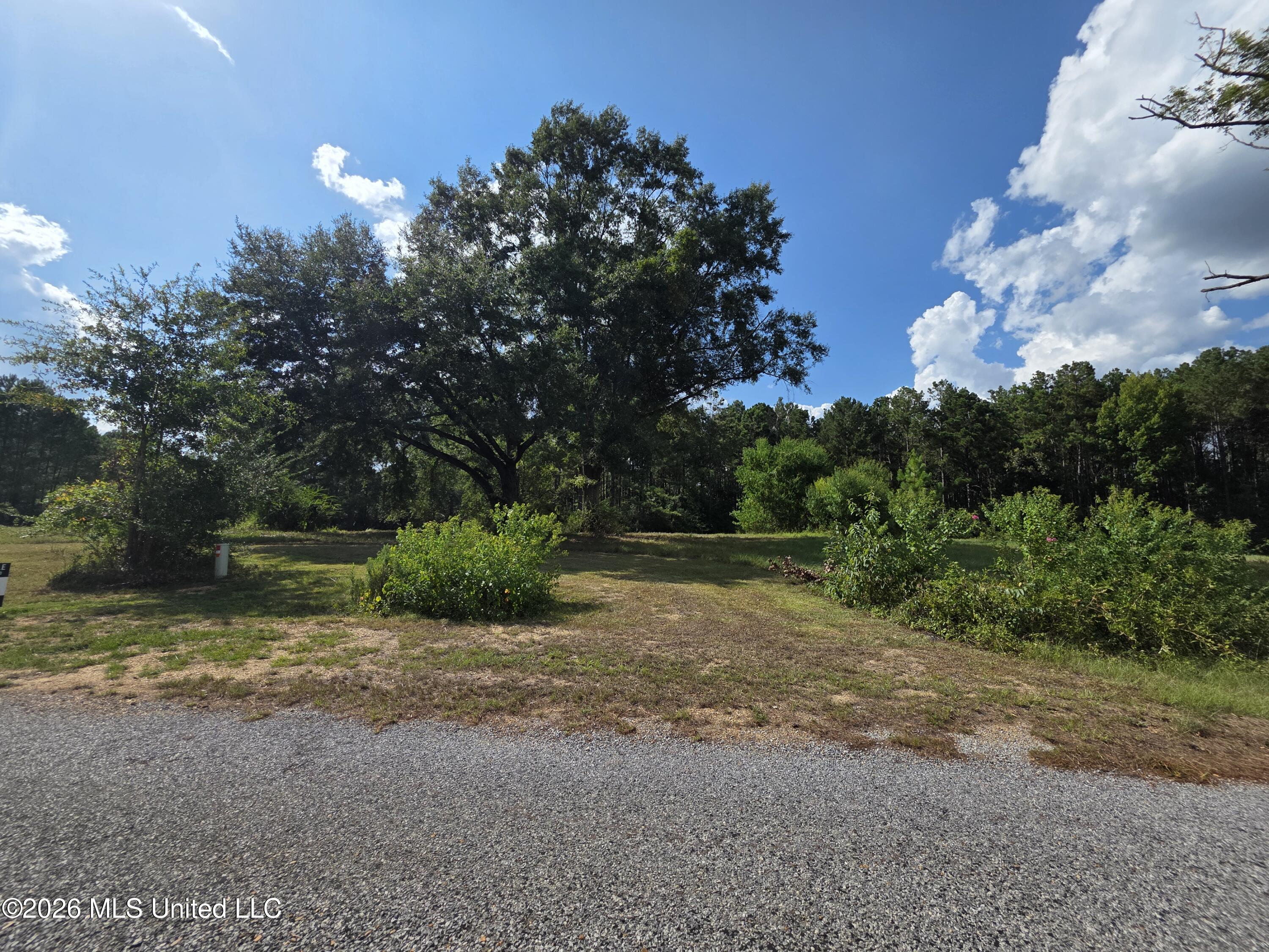 325 Double Ponds Road Property Photo 6