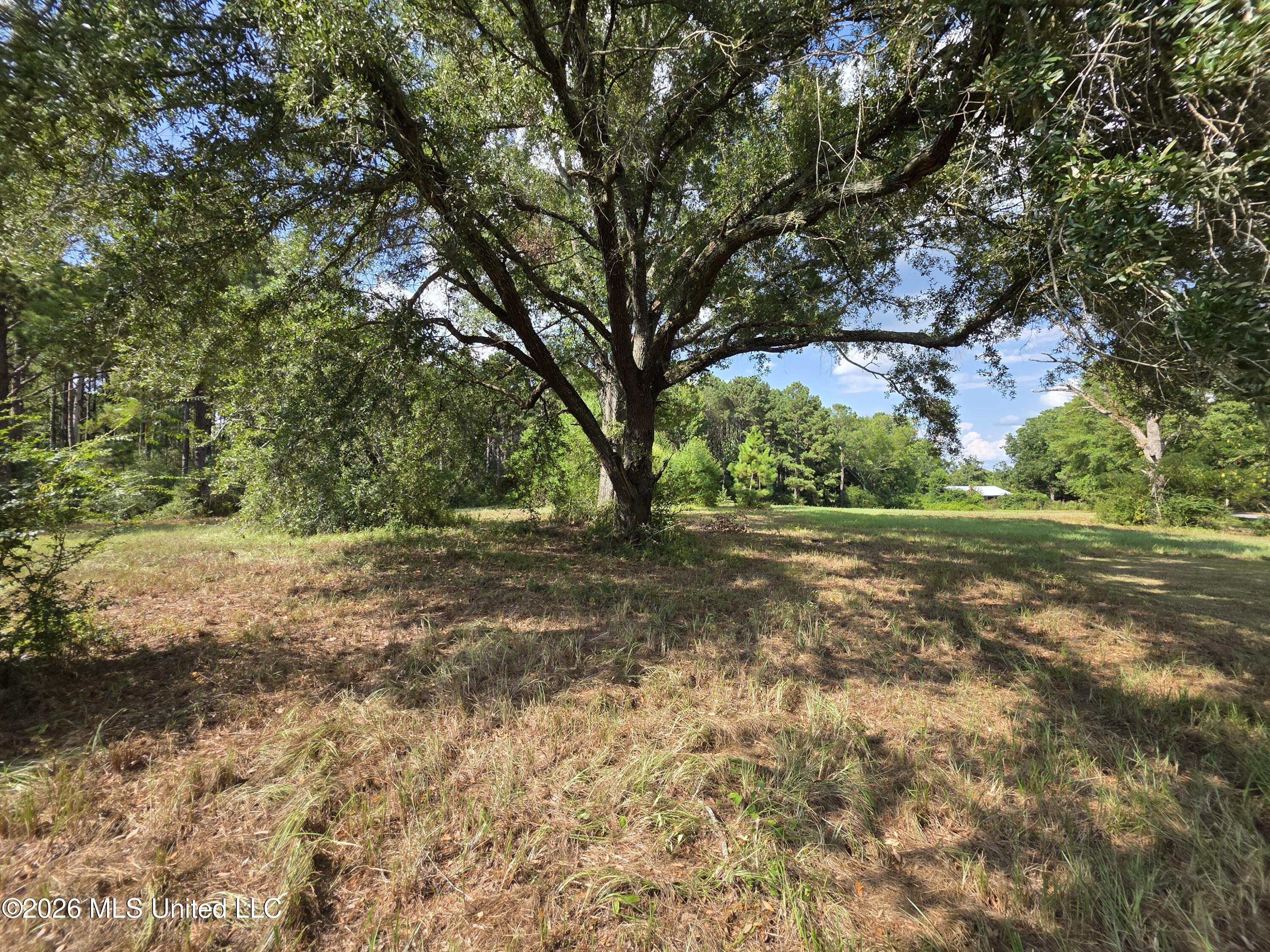325 Double Ponds Road Property Photo 7