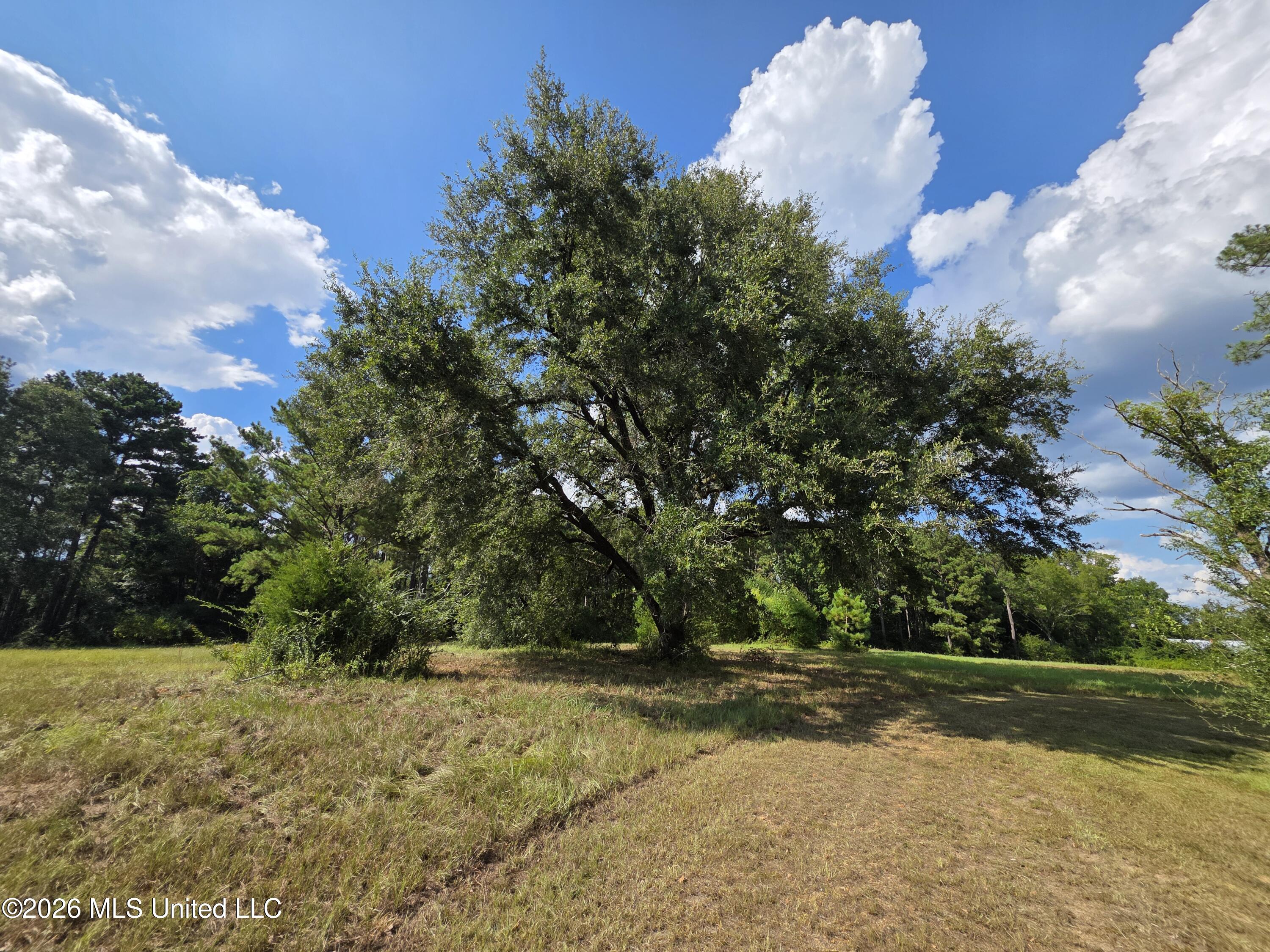 325 Double Ponds Road Property Photo 8