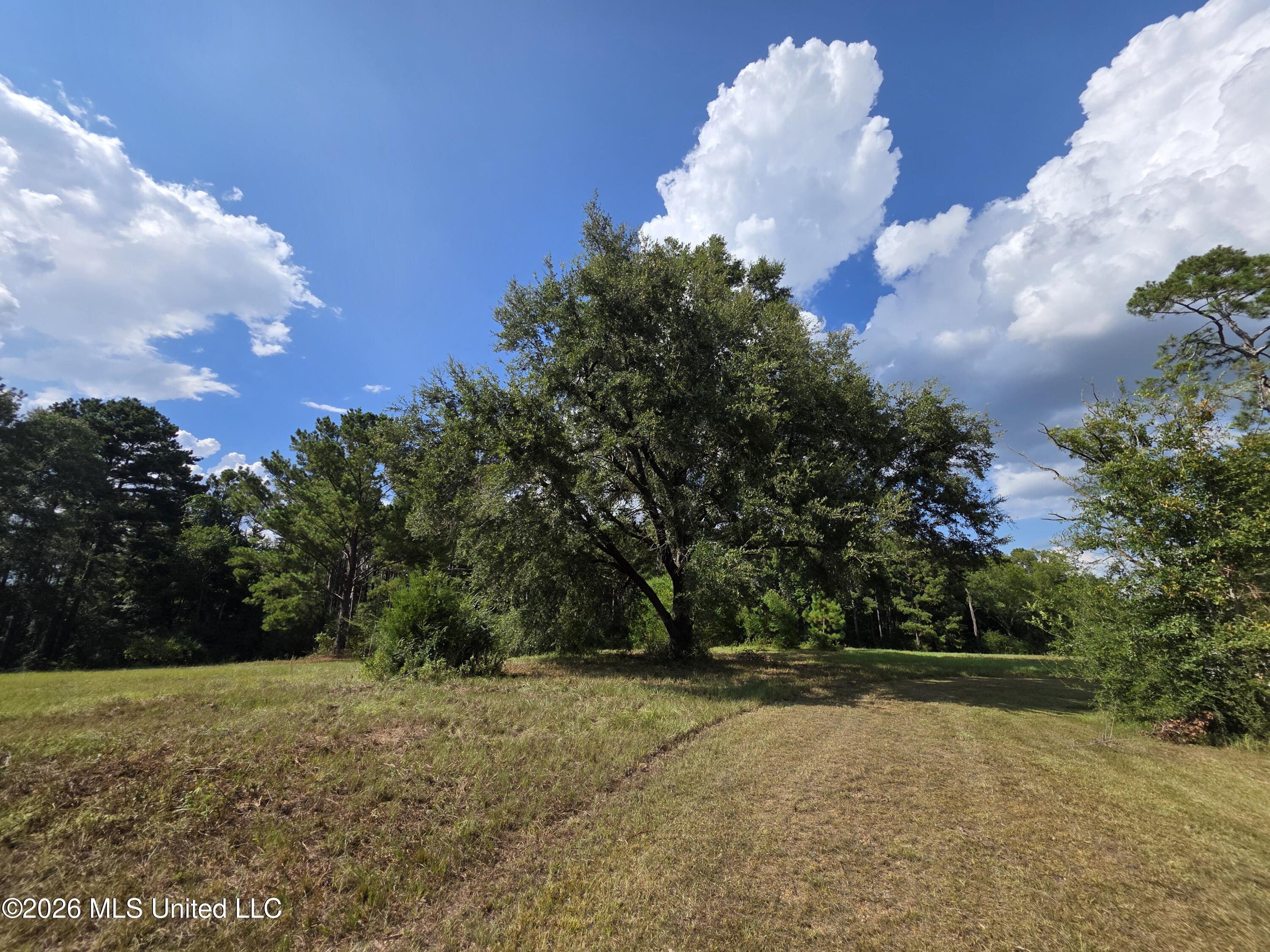325 Double Ponds Road Property Photo 9