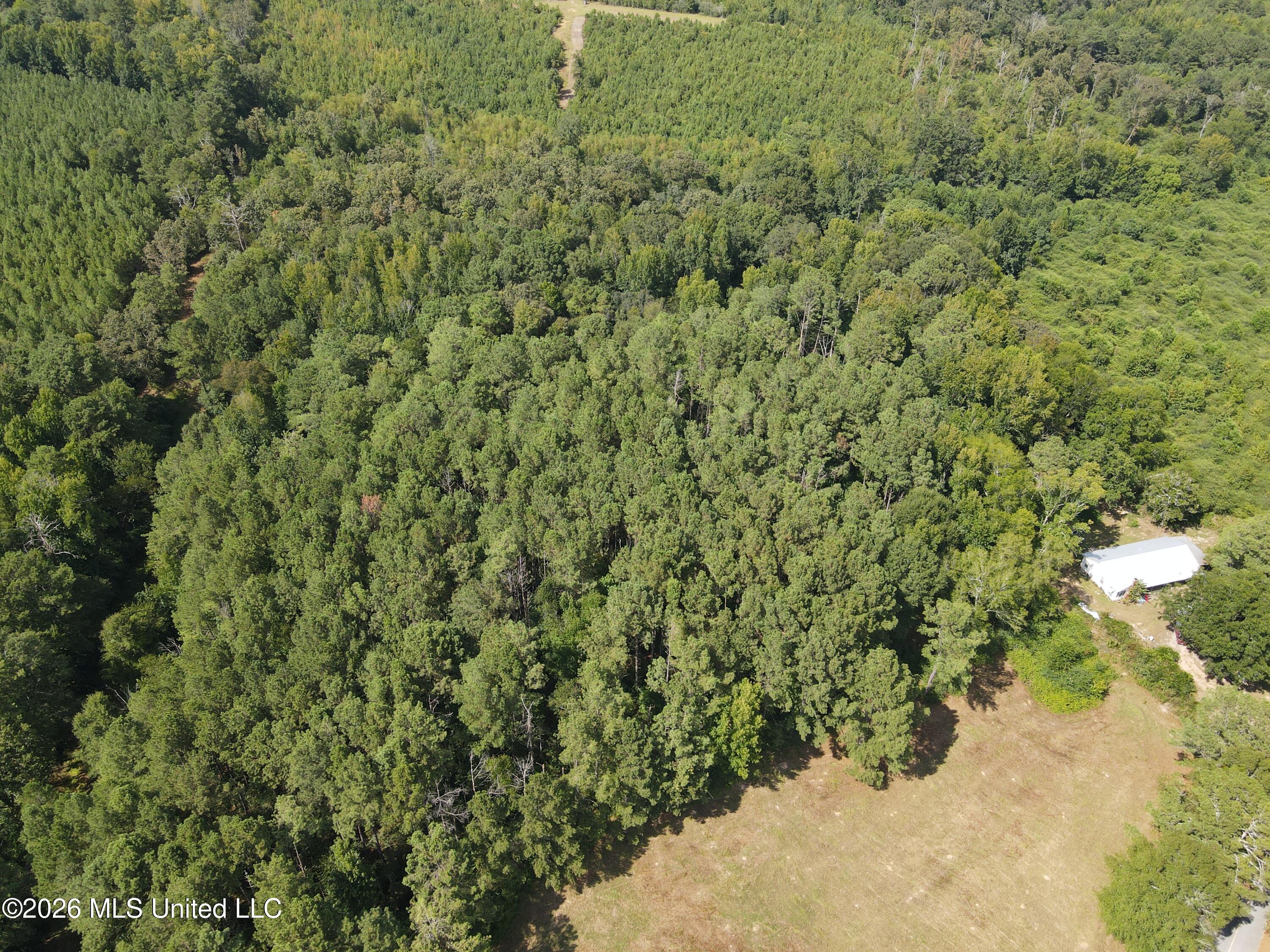 325 Double Ponds Road Property Photo 12
