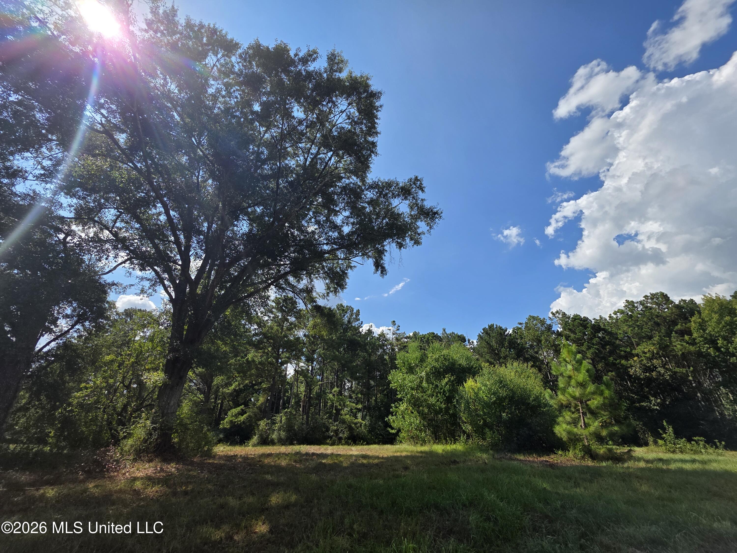 325 Double Ponds Road Property Photo 17