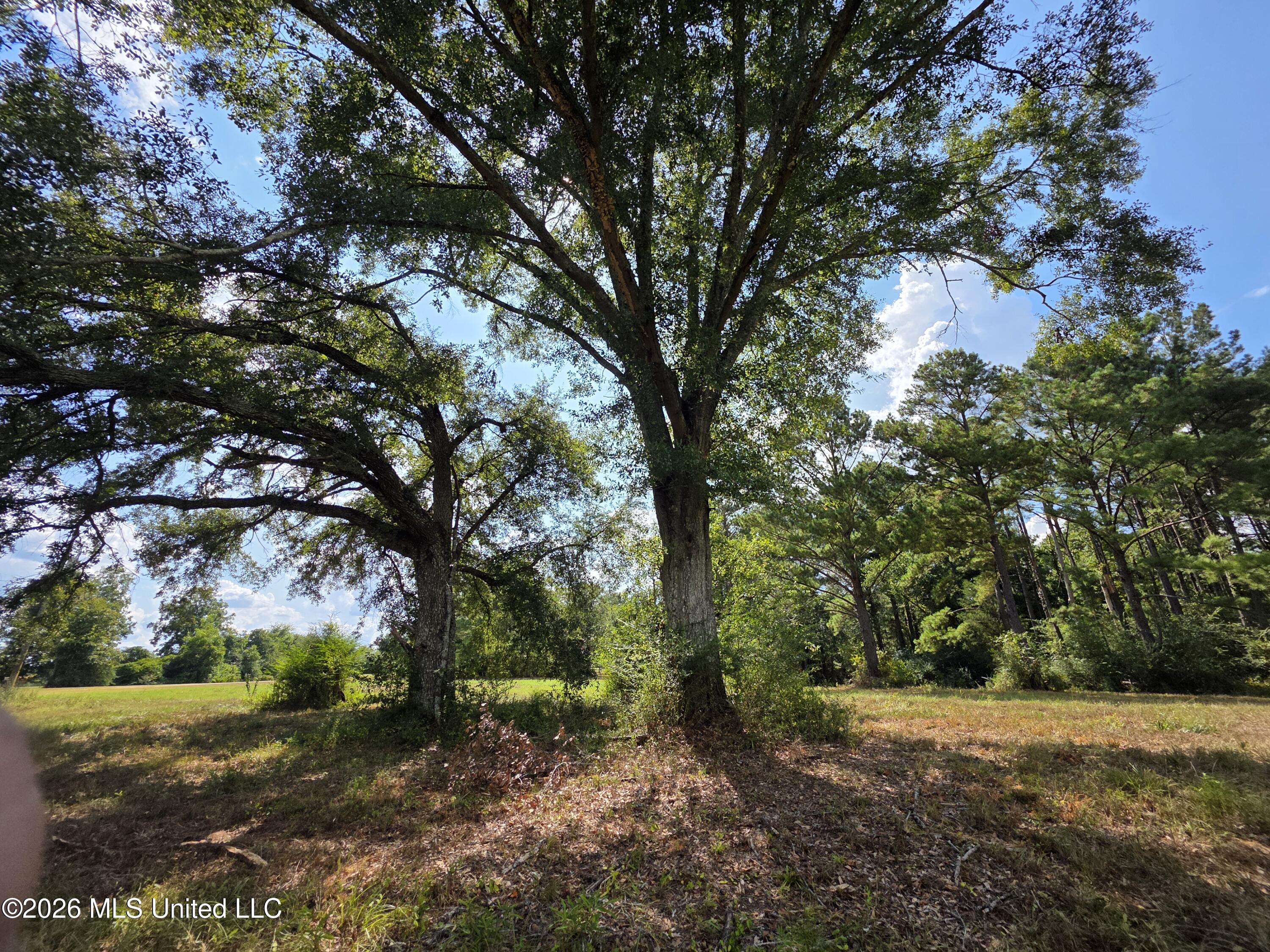 325 Double Ponds Road Property Photo 18