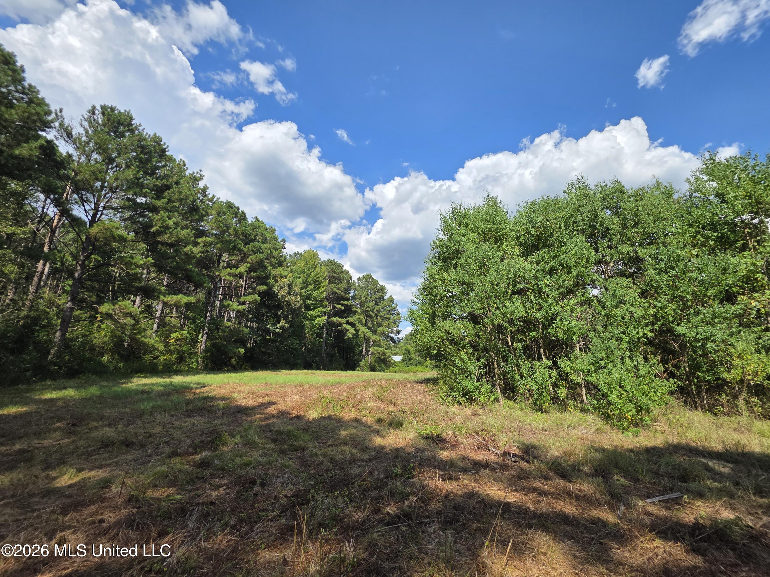 325 Double Ponds Road Property Photo 21