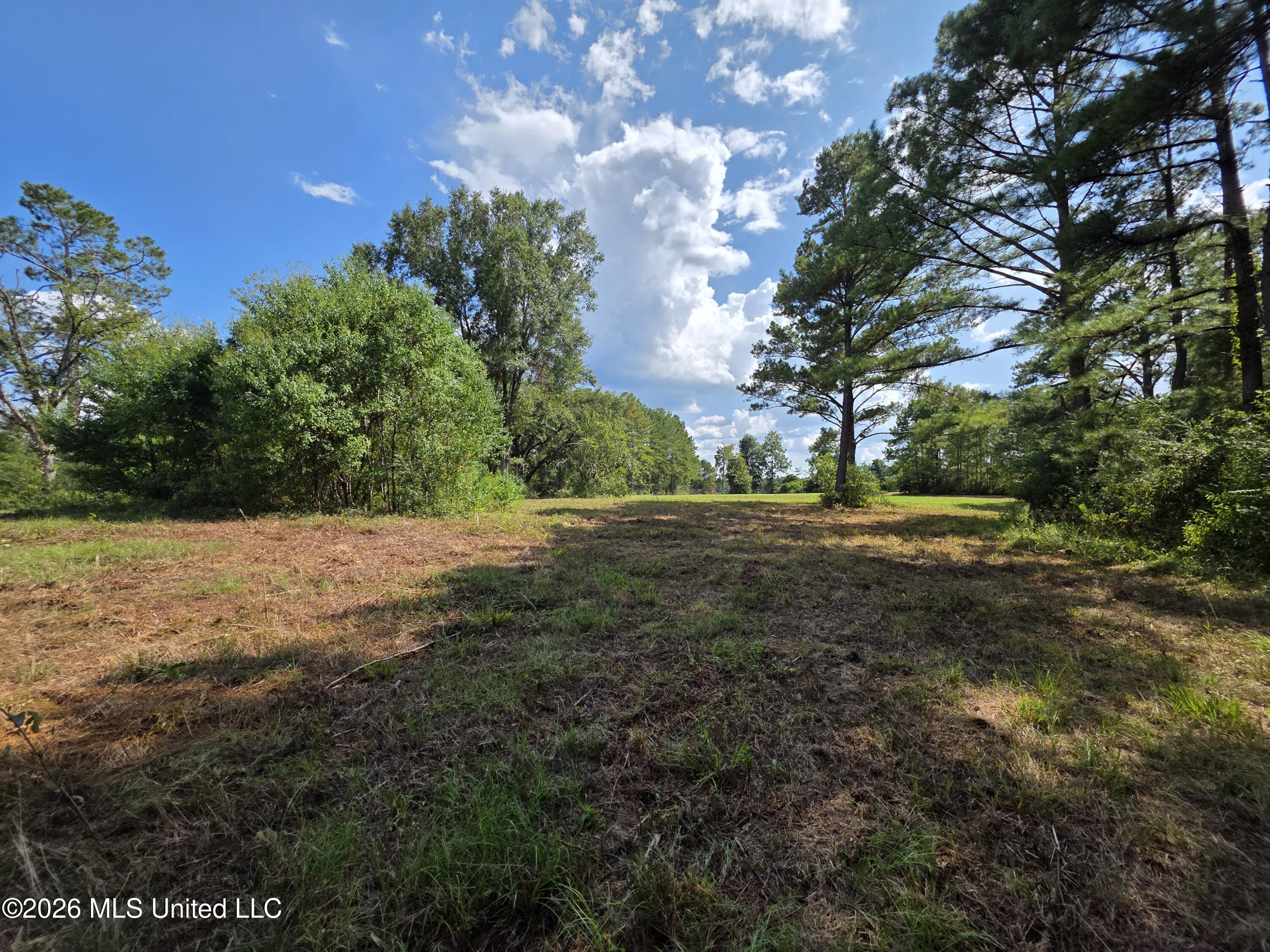 325 Double Ponds Road Property Photo 22