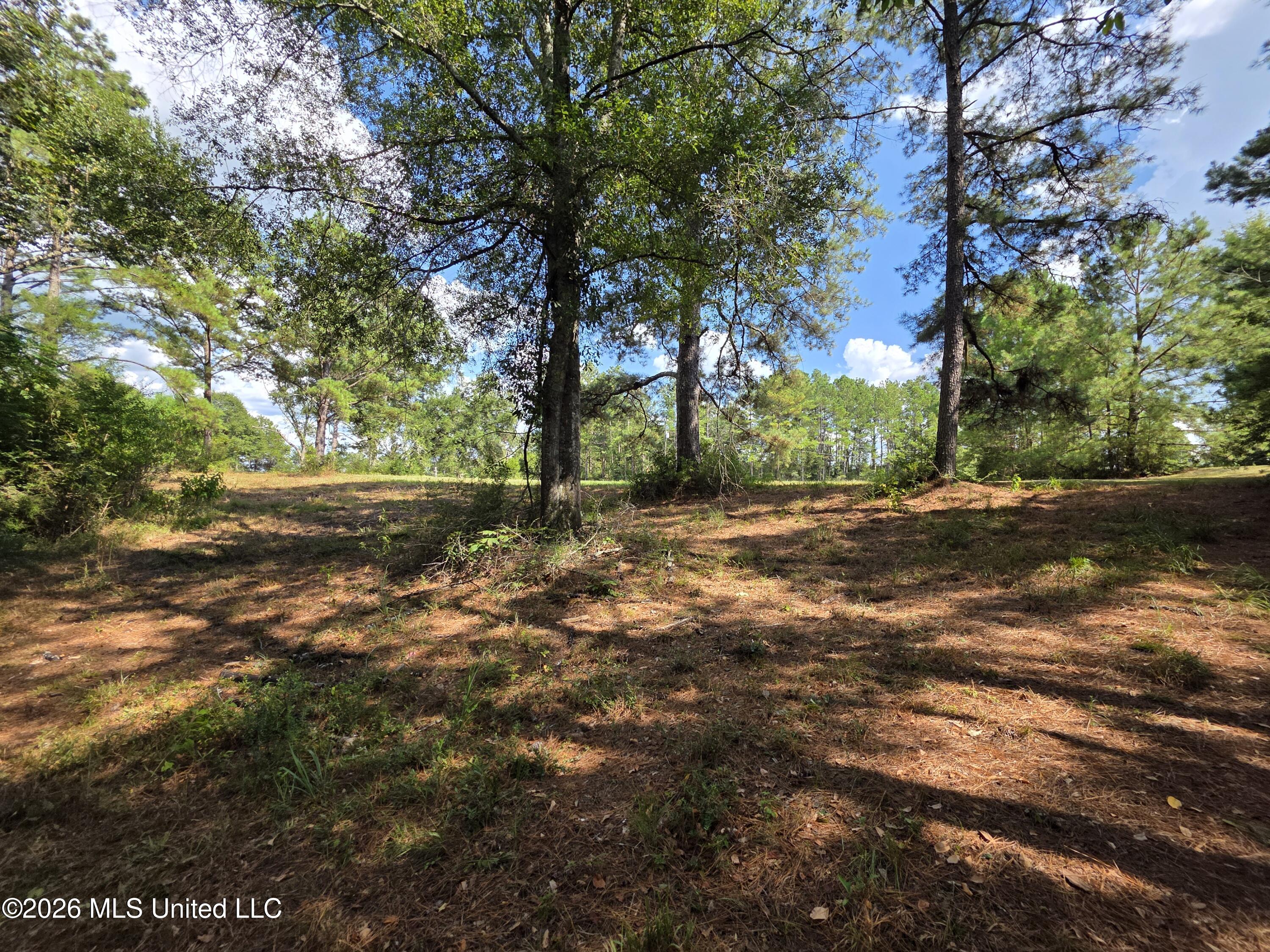 325 Double Ponds Road Property Photo 24