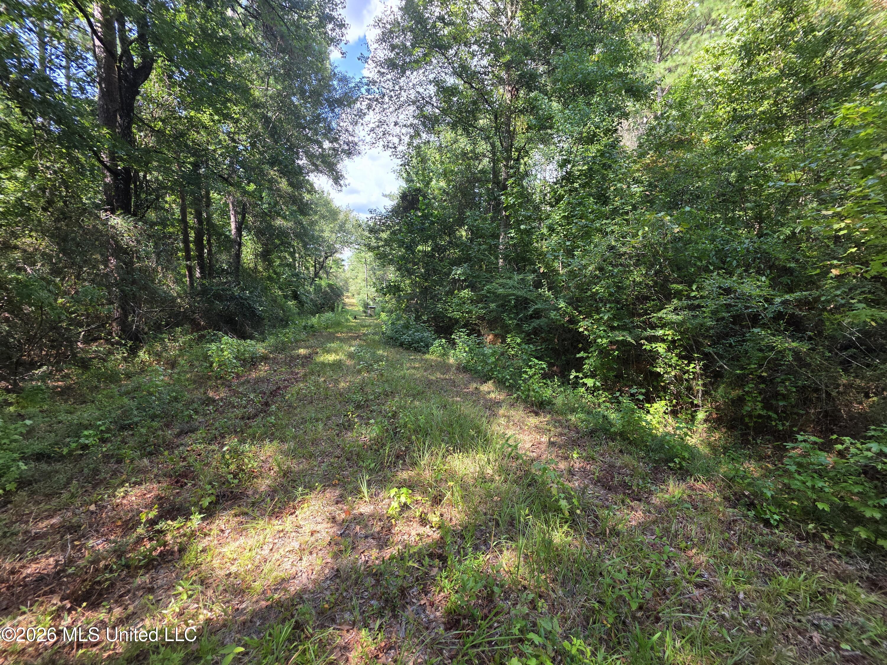 325 Double Ponds Road Property Photo 25