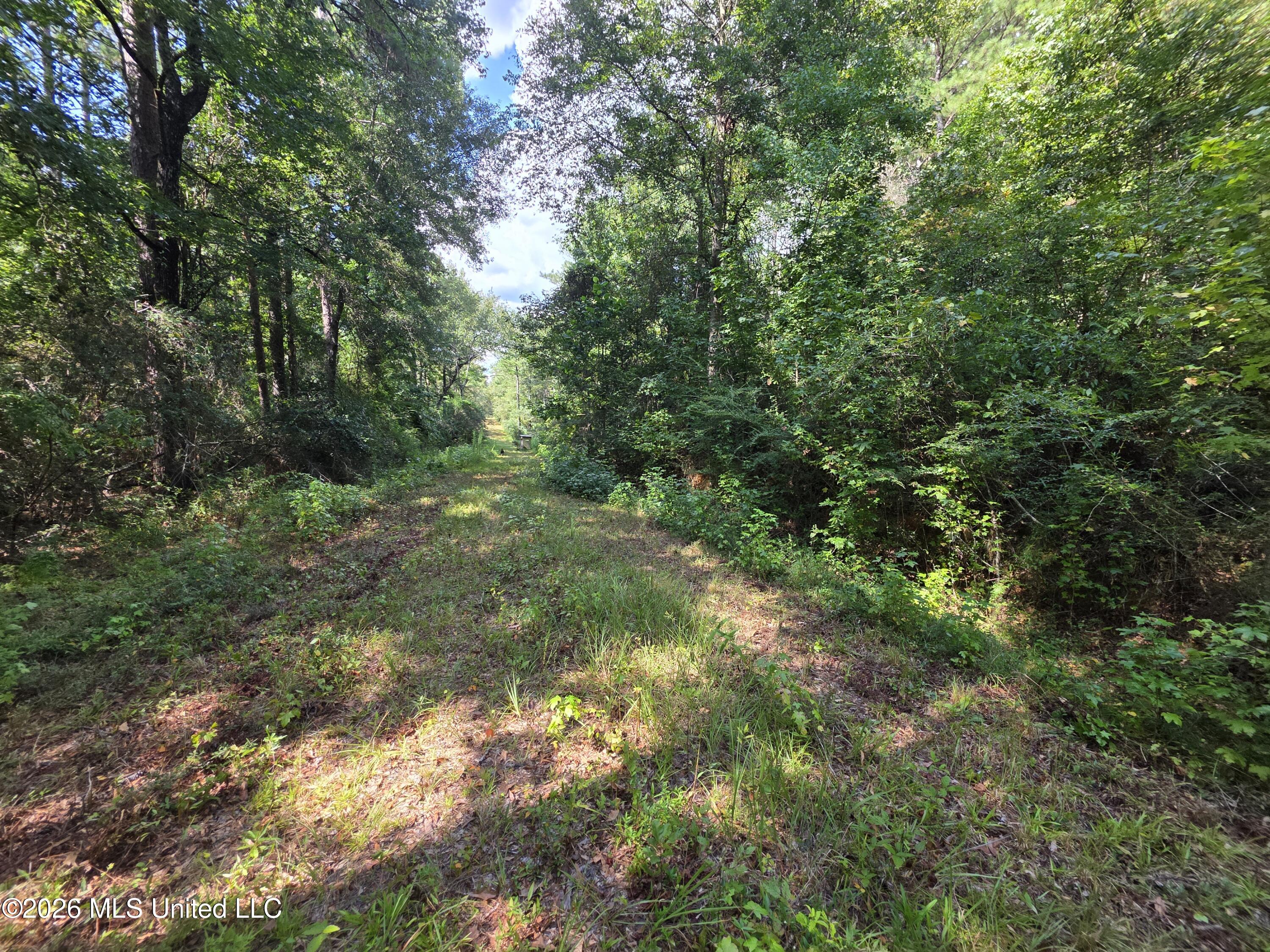325 Double Ponds Road Property Photo 26
