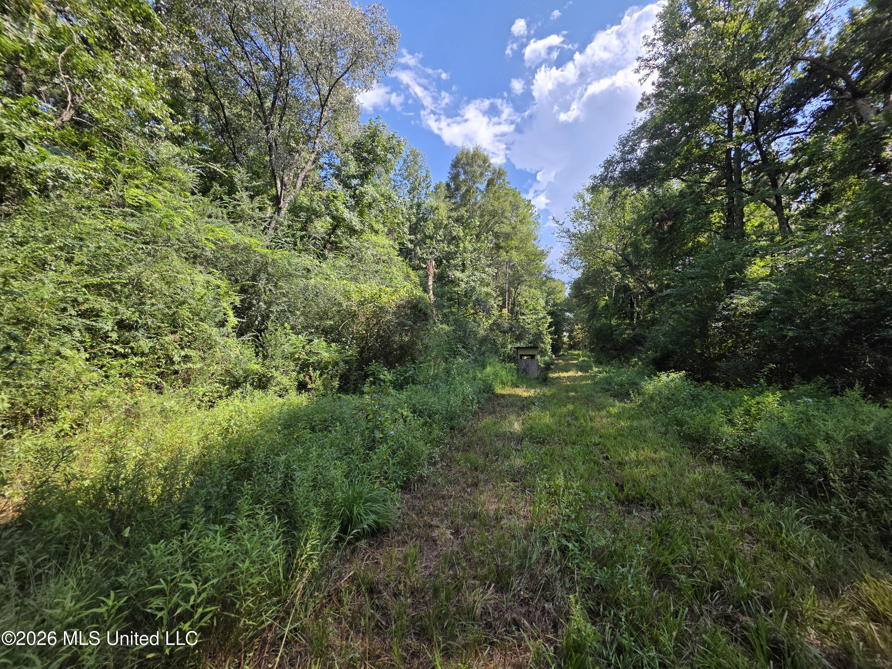 325 Double Ponds Road Property Photo 27