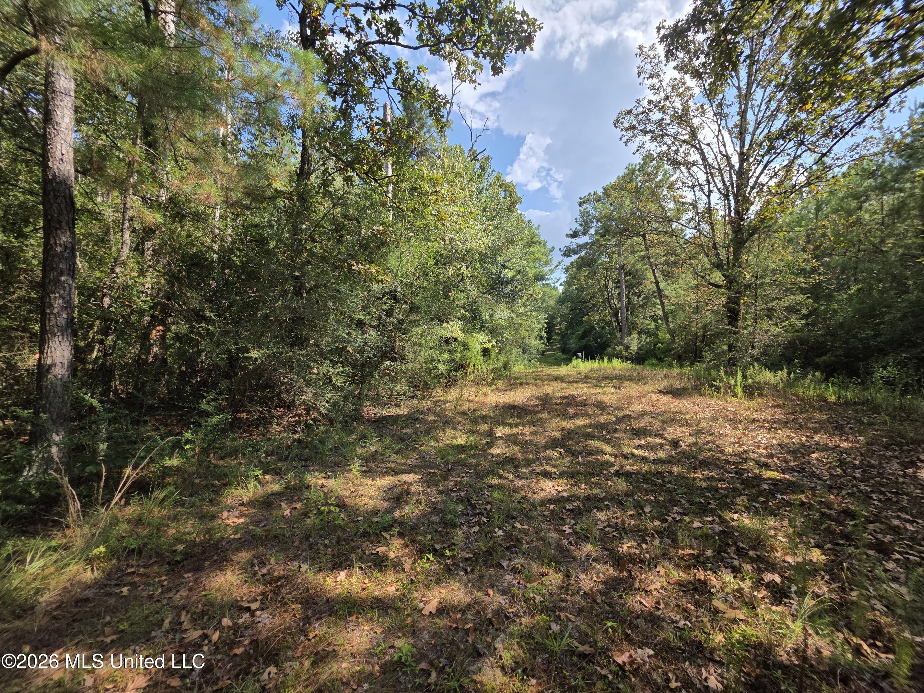 325 Double Ponds Road Property Photo 28