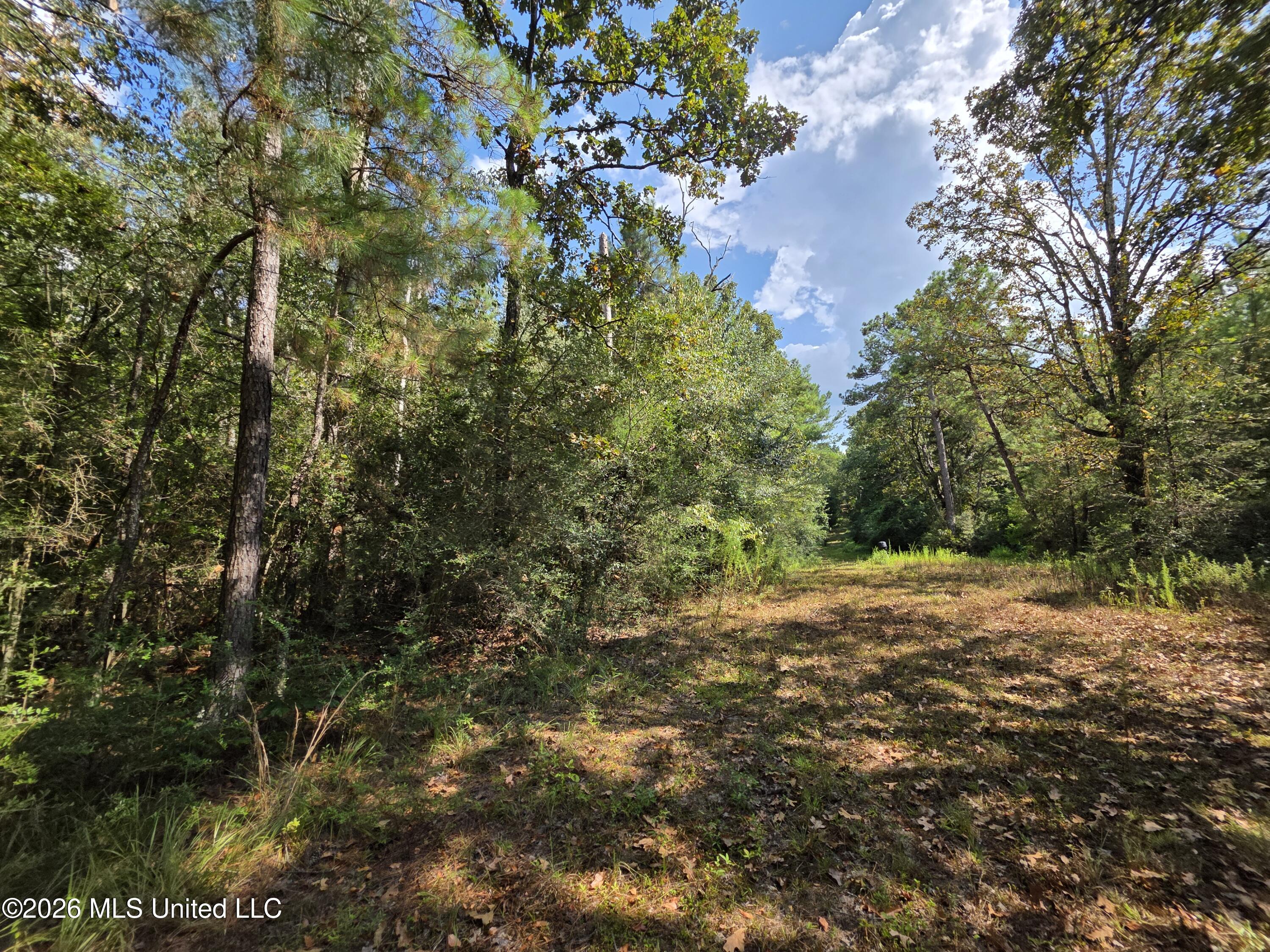 325 Double Ponds Road Property Photo 29