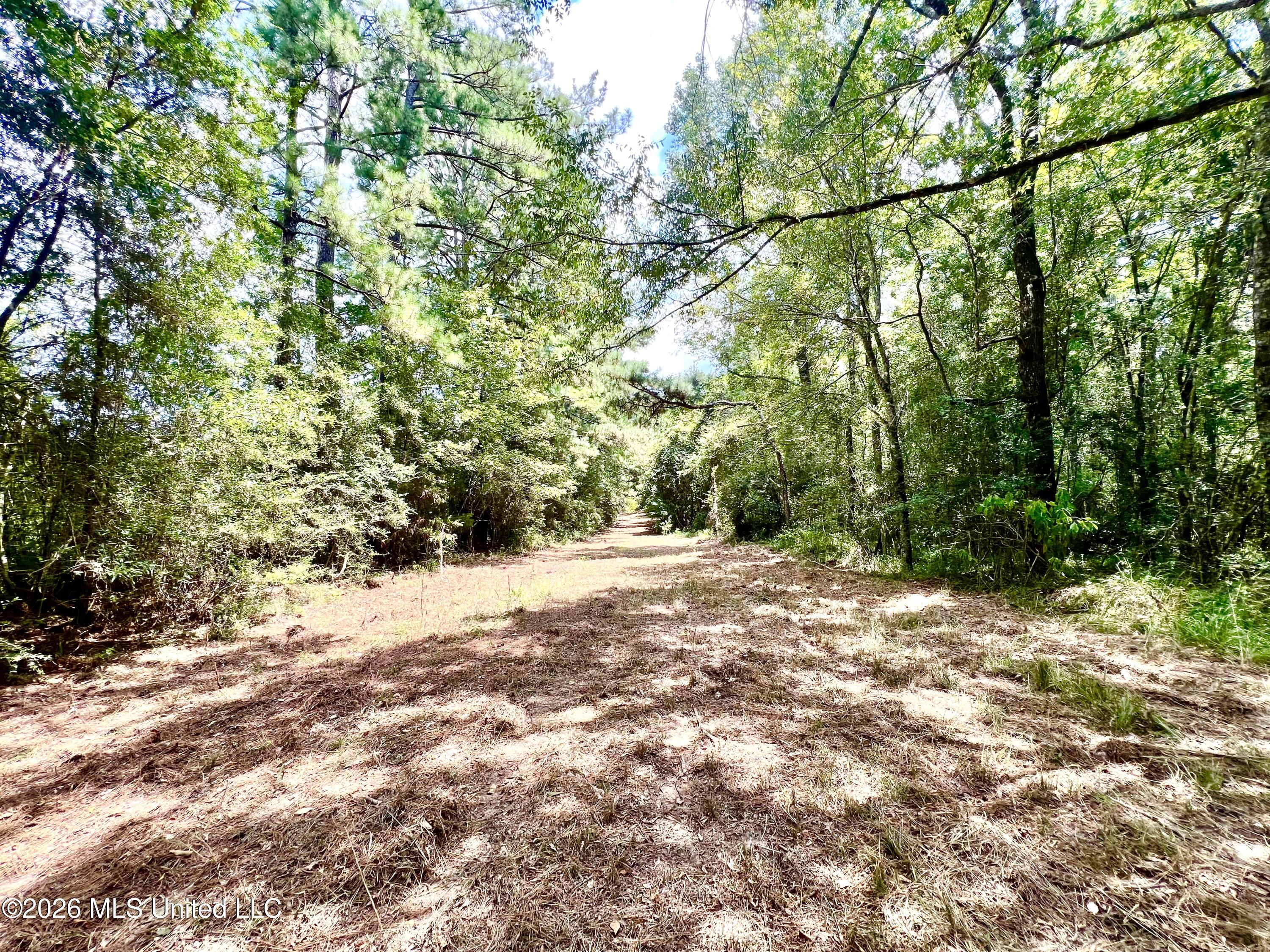 978 Butler Rd Se Property Photo 13