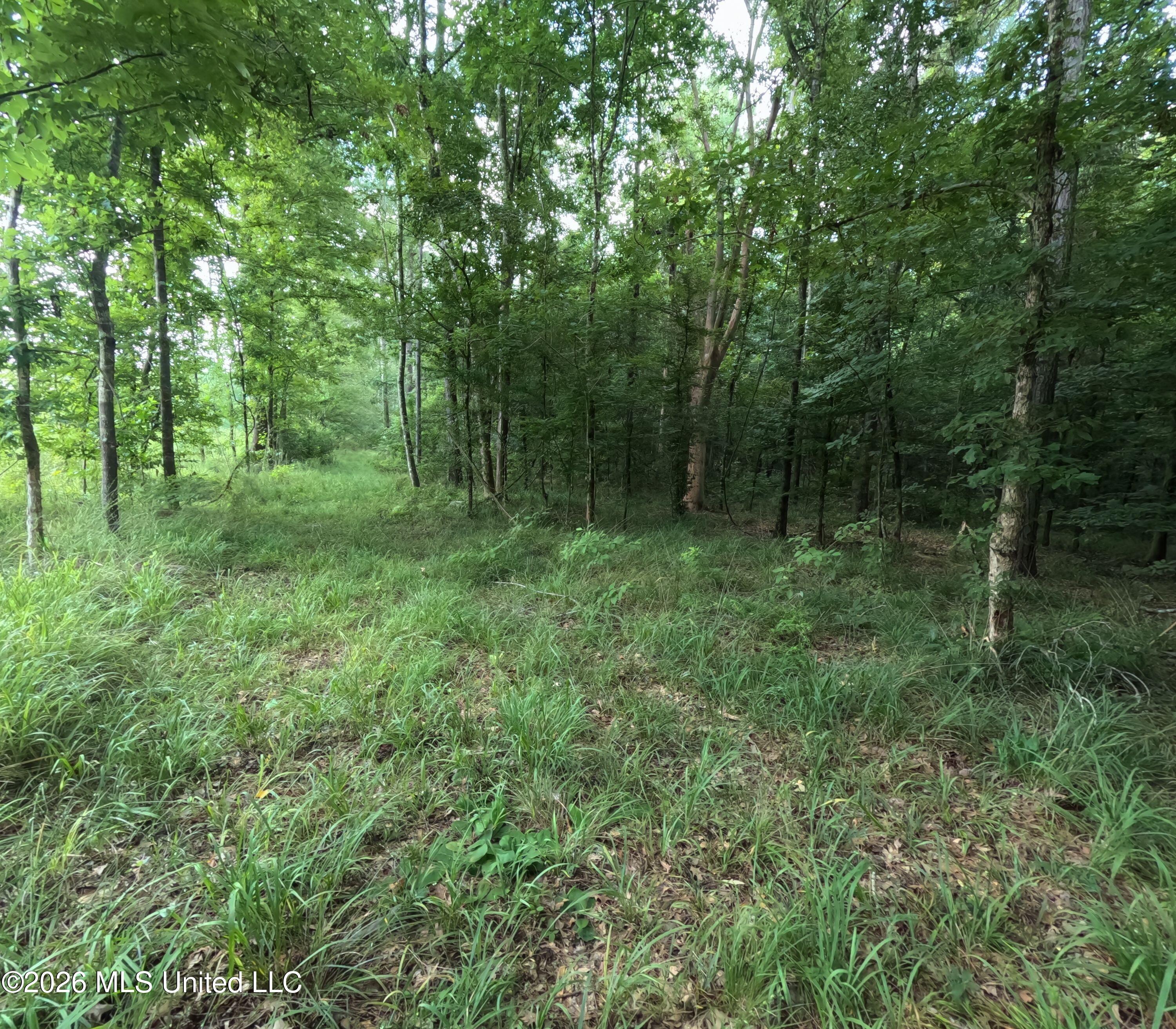 Ms-28 Property Photo 37