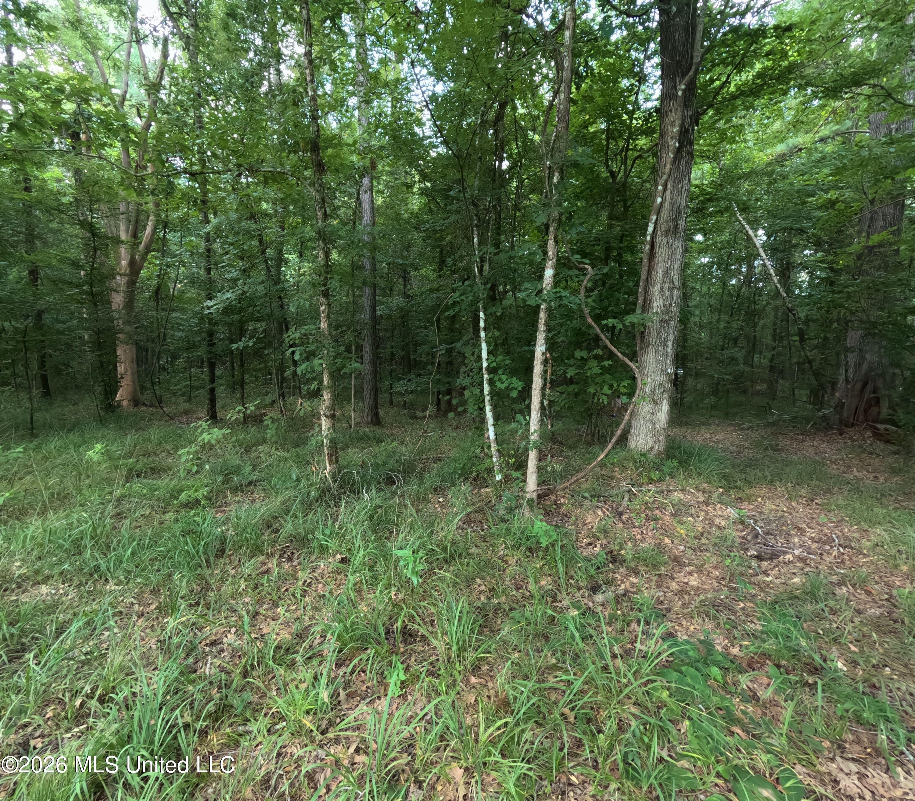 Ms-28 Property Photo 38