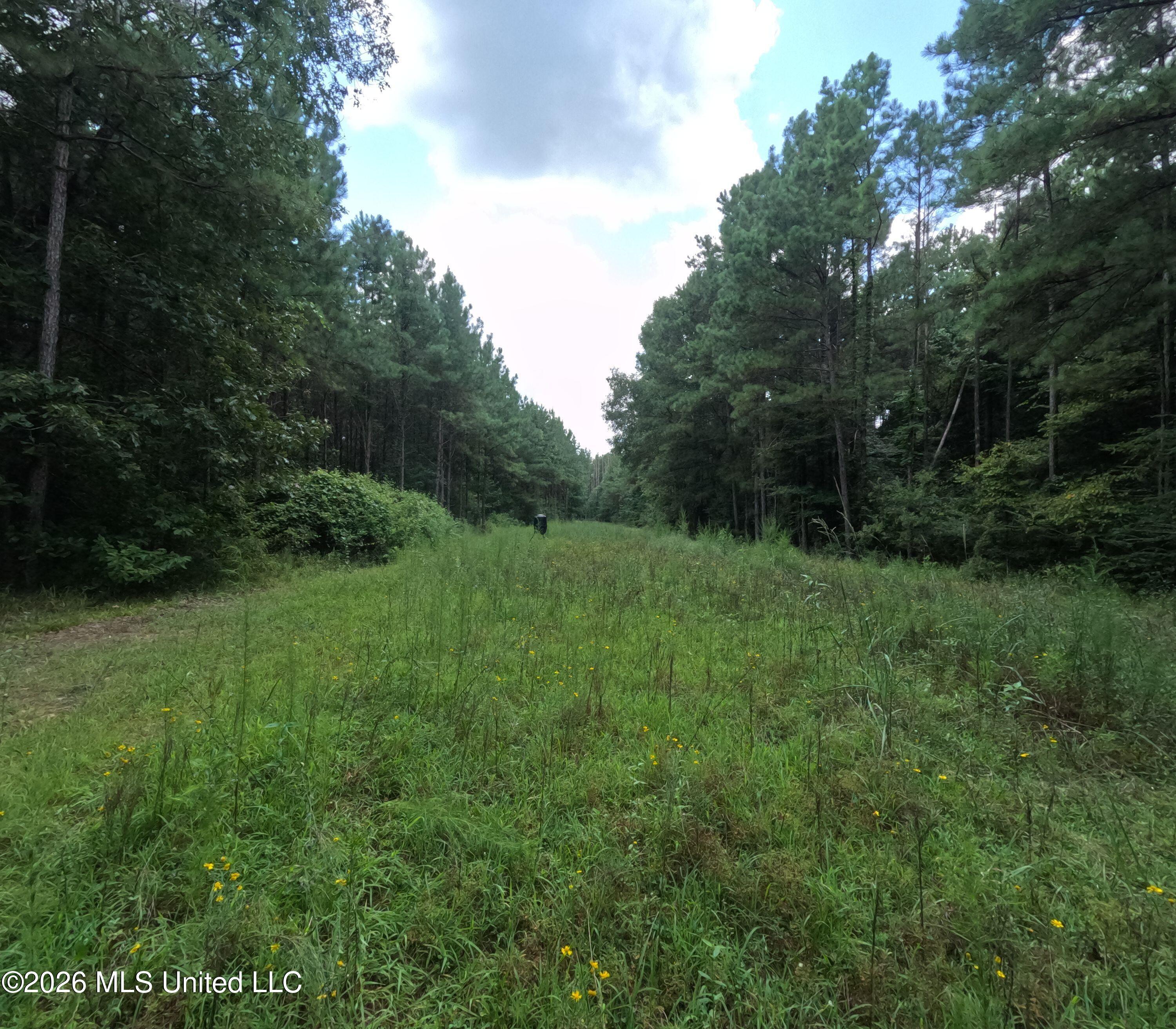 Ms-28 Property Photo 43