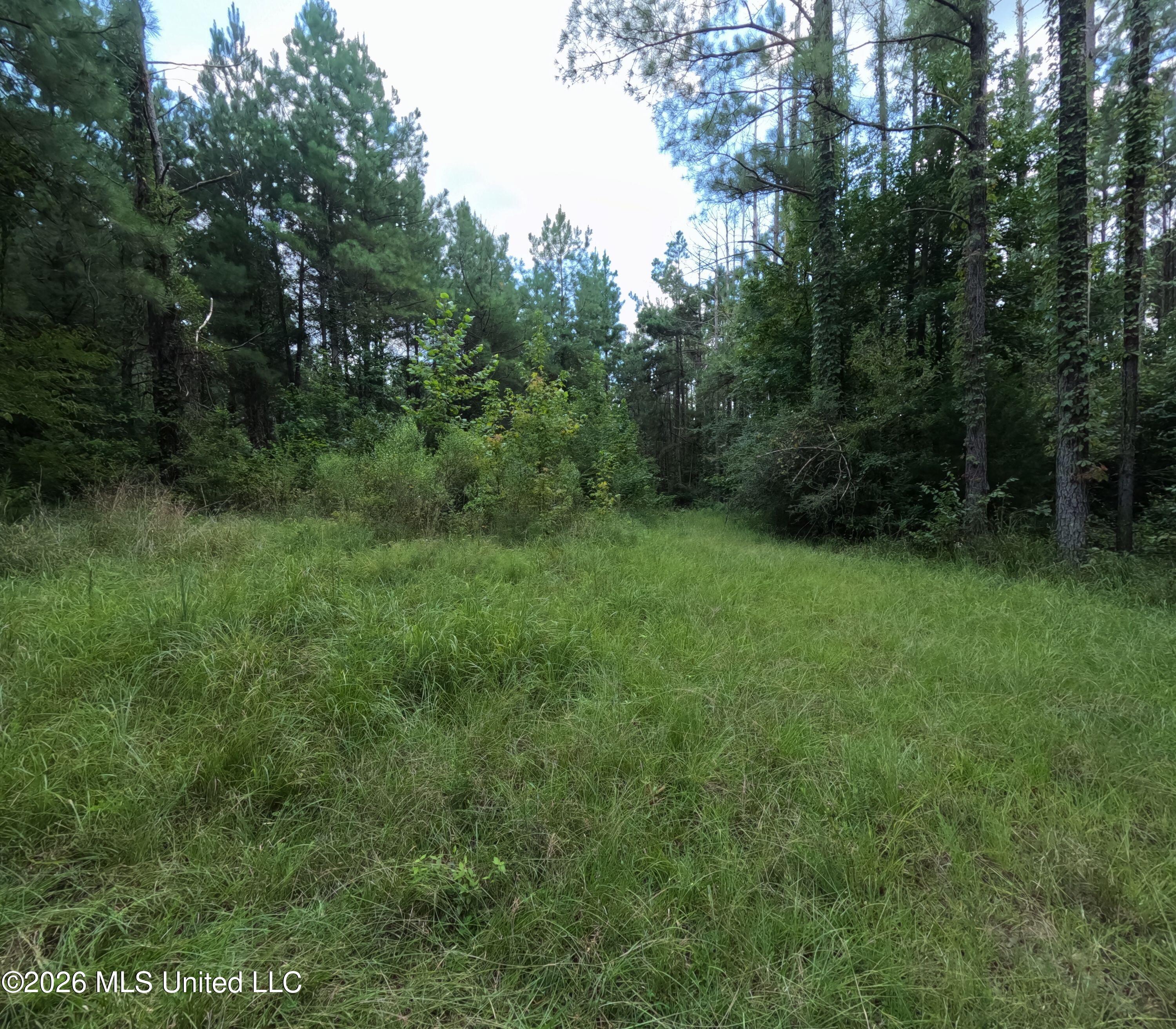 Ms-28 Property Photo 44