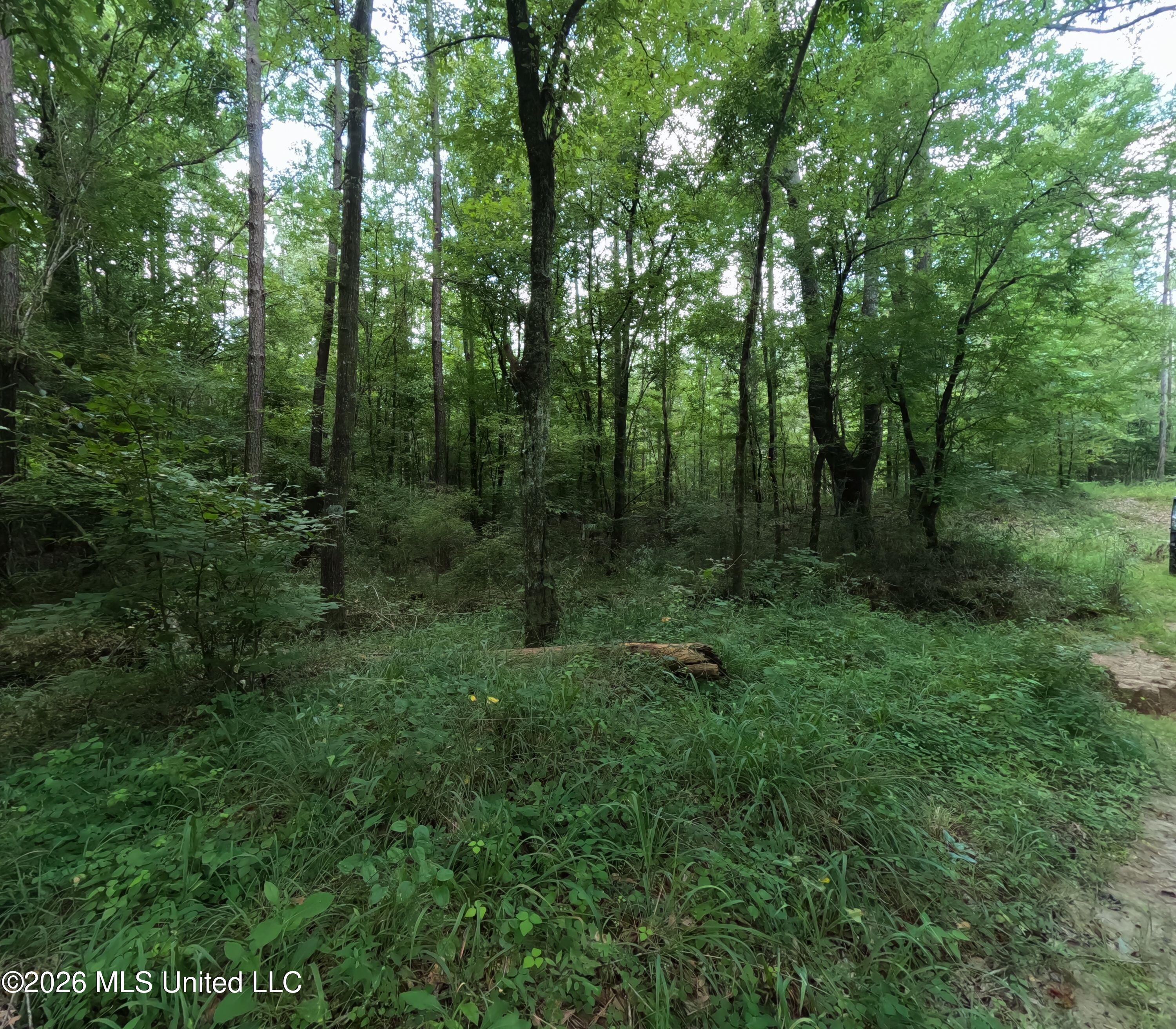 Ms-28 Property Photo 49