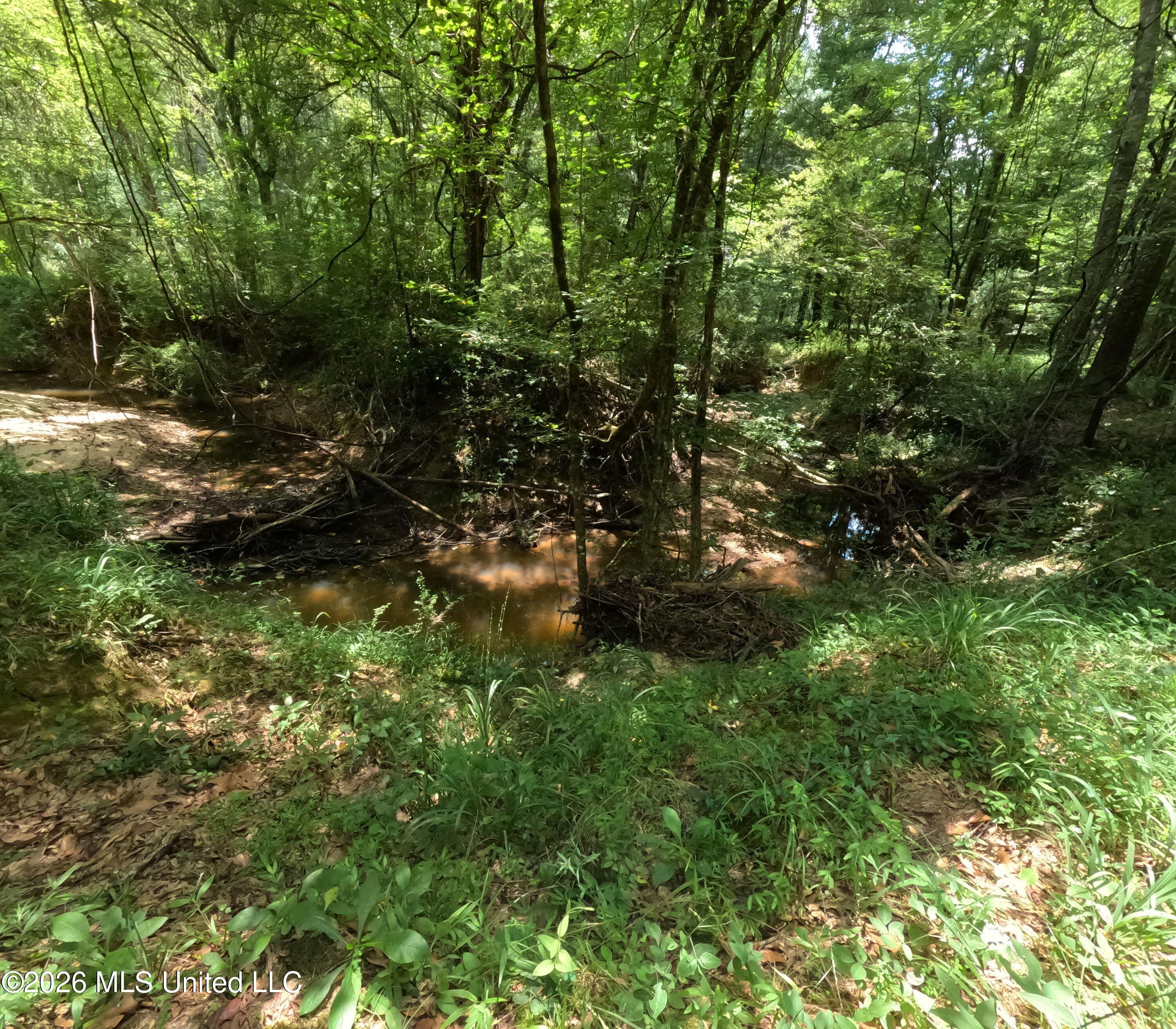 Ms-28 Property Photo 62