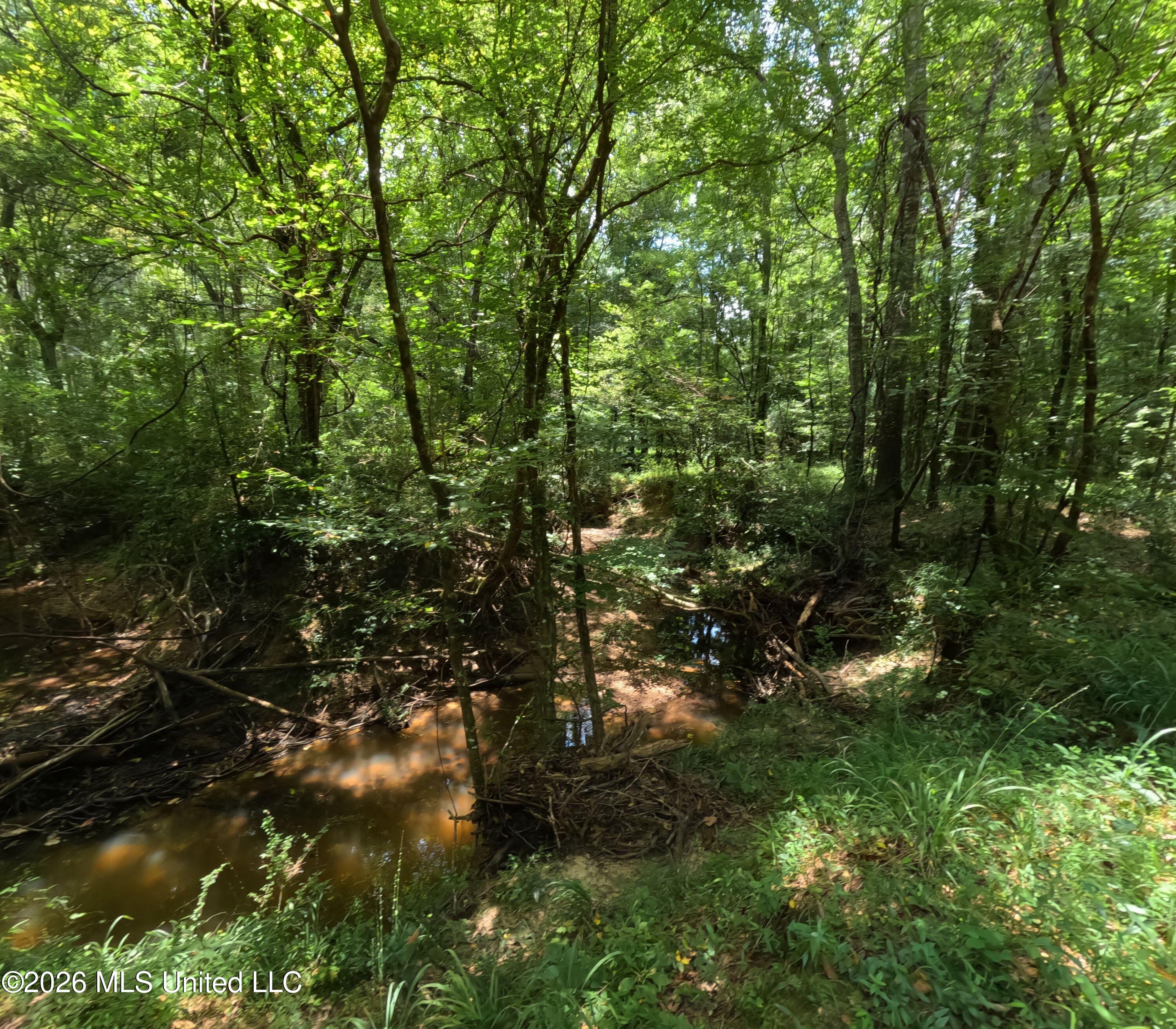Ms-28 Property Photo 63
