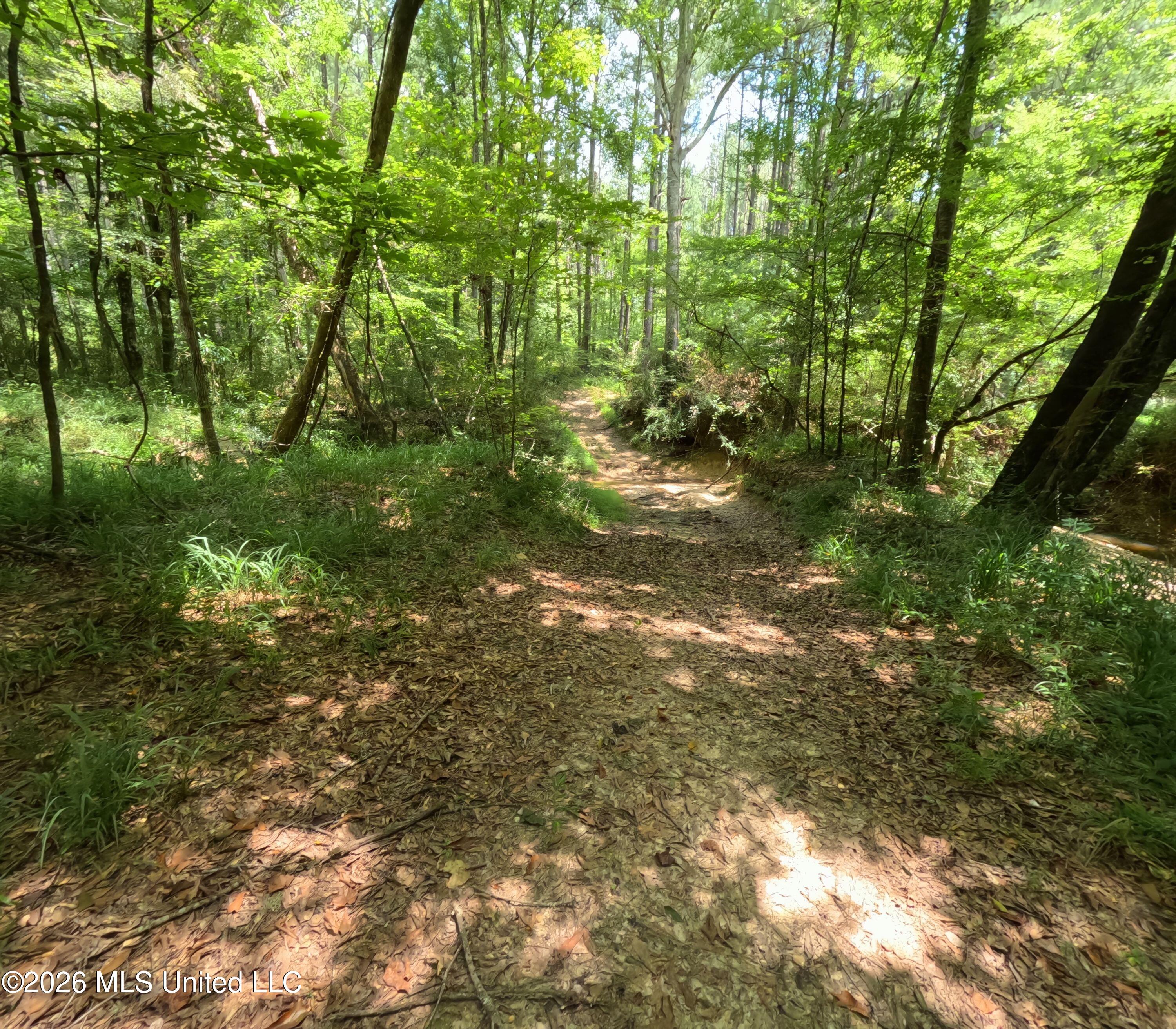 Ms-28 Property Photo 64